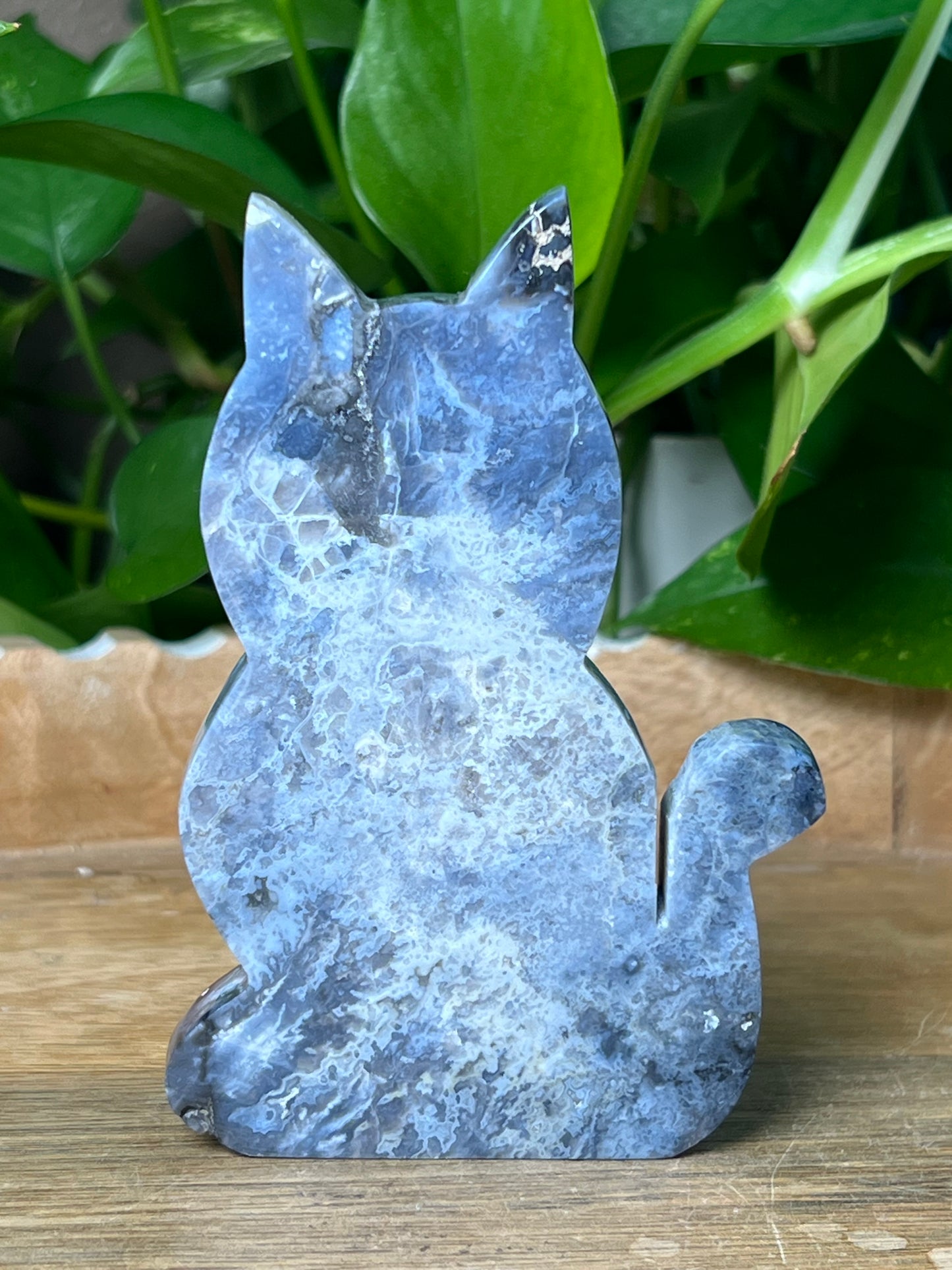 Blue Plume Agate Cat