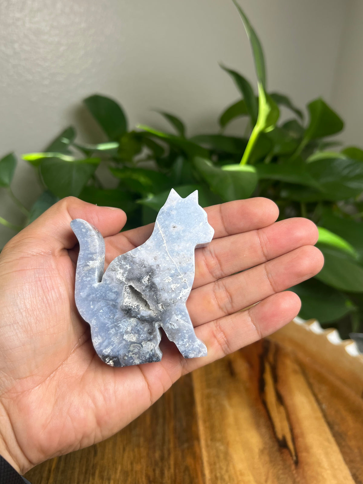 Blue Plume Agate Cat: AG
