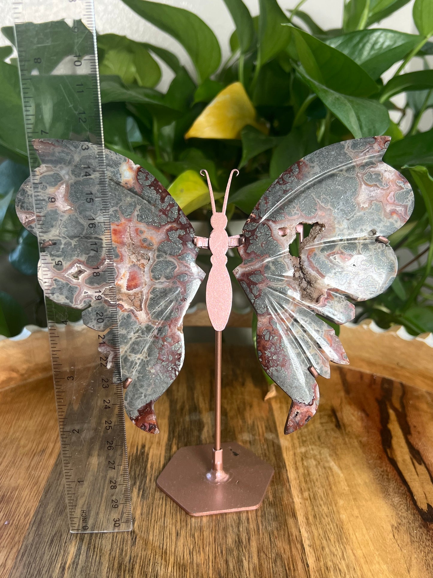 Marcasite Wings PB