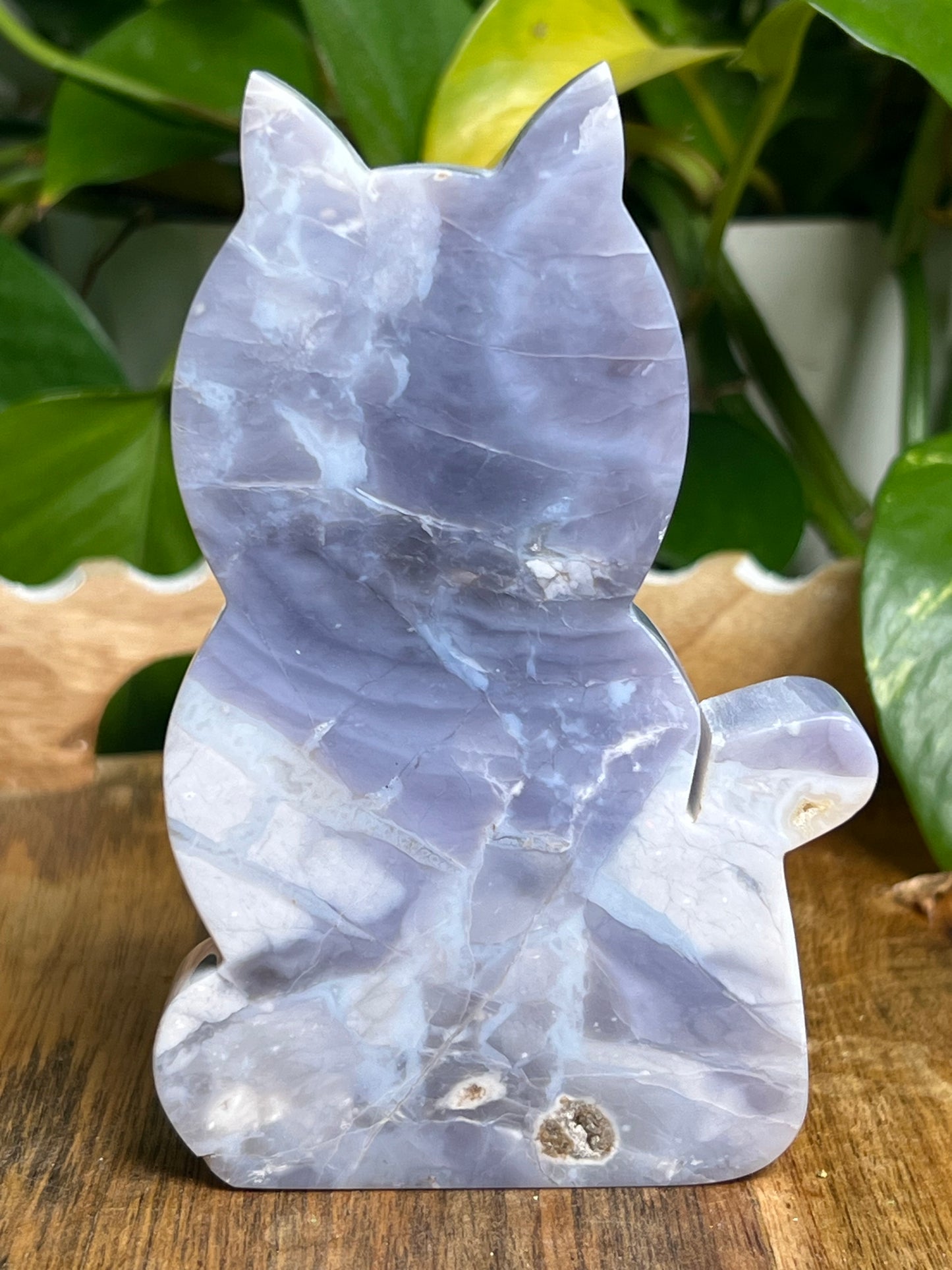 Purple Chalcedony Cat PS