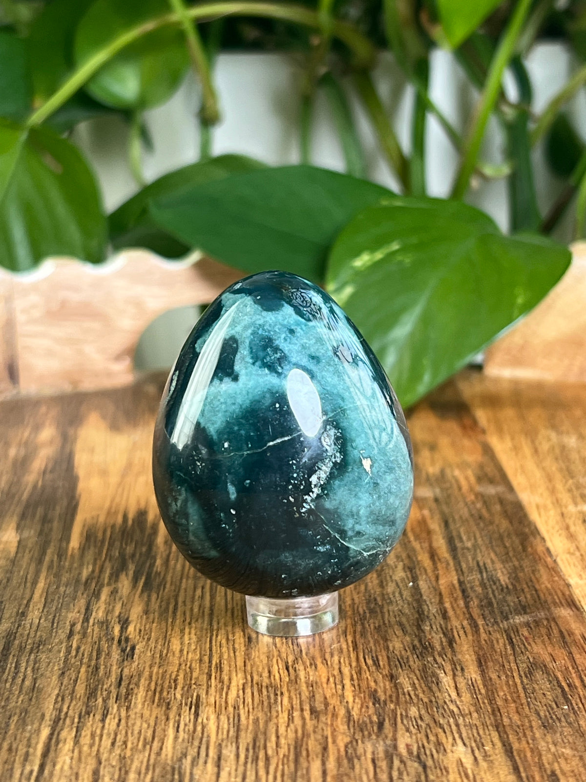 Blue Green Jasper Egg: RS