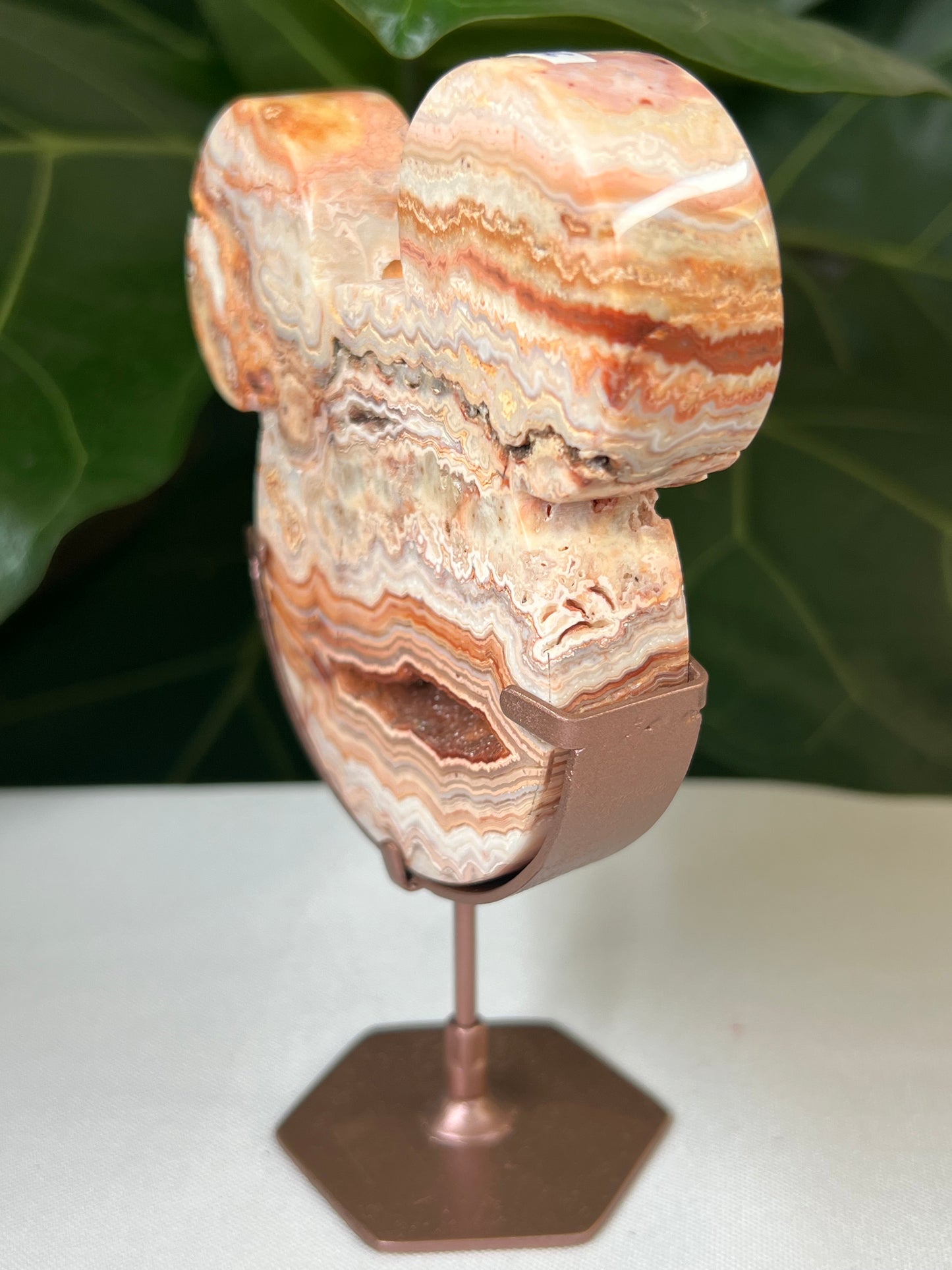 Crazy Lace Agate Bear Head