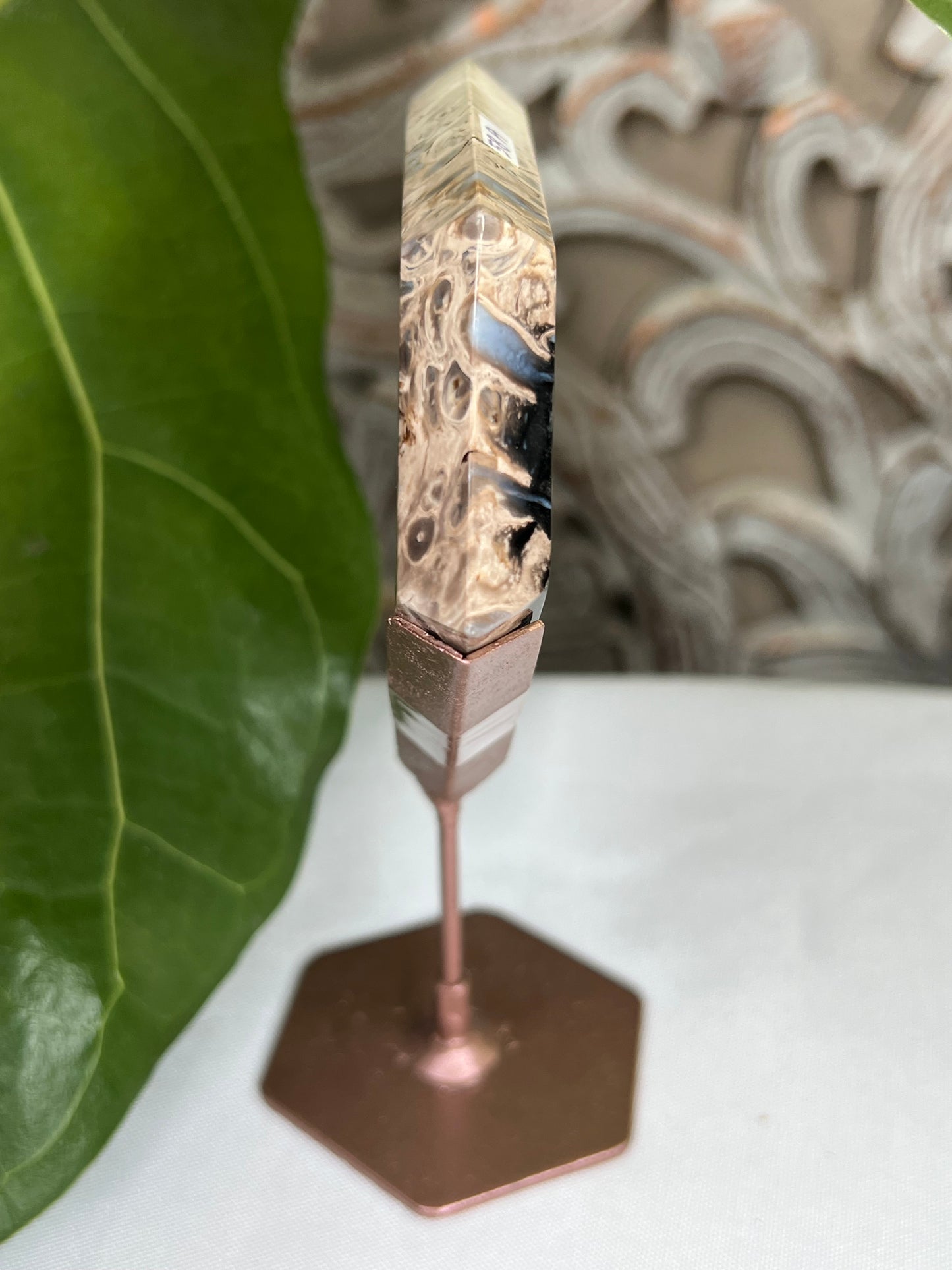 Palm Root Diamond