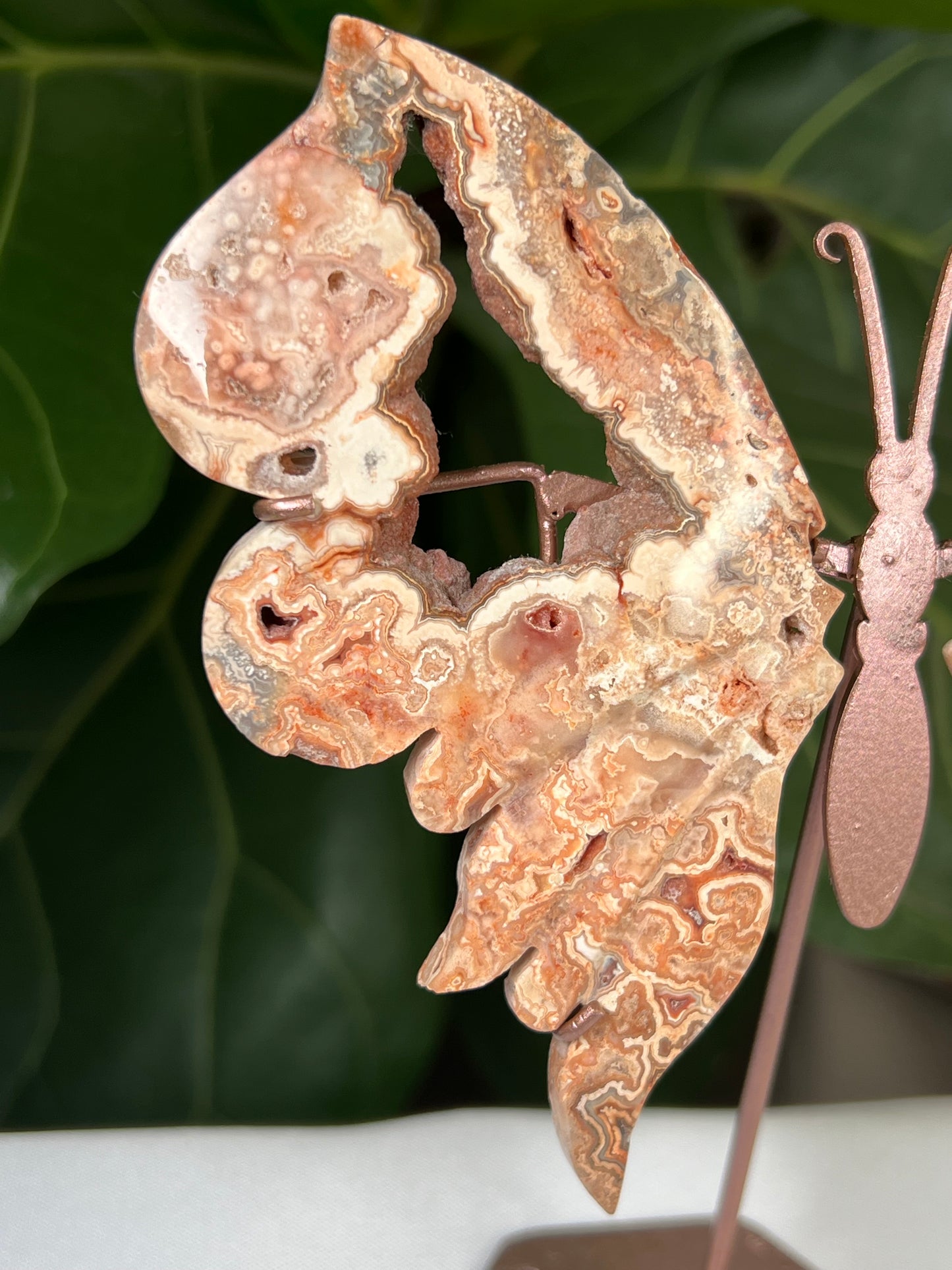 Crazy Lace Agate Wings