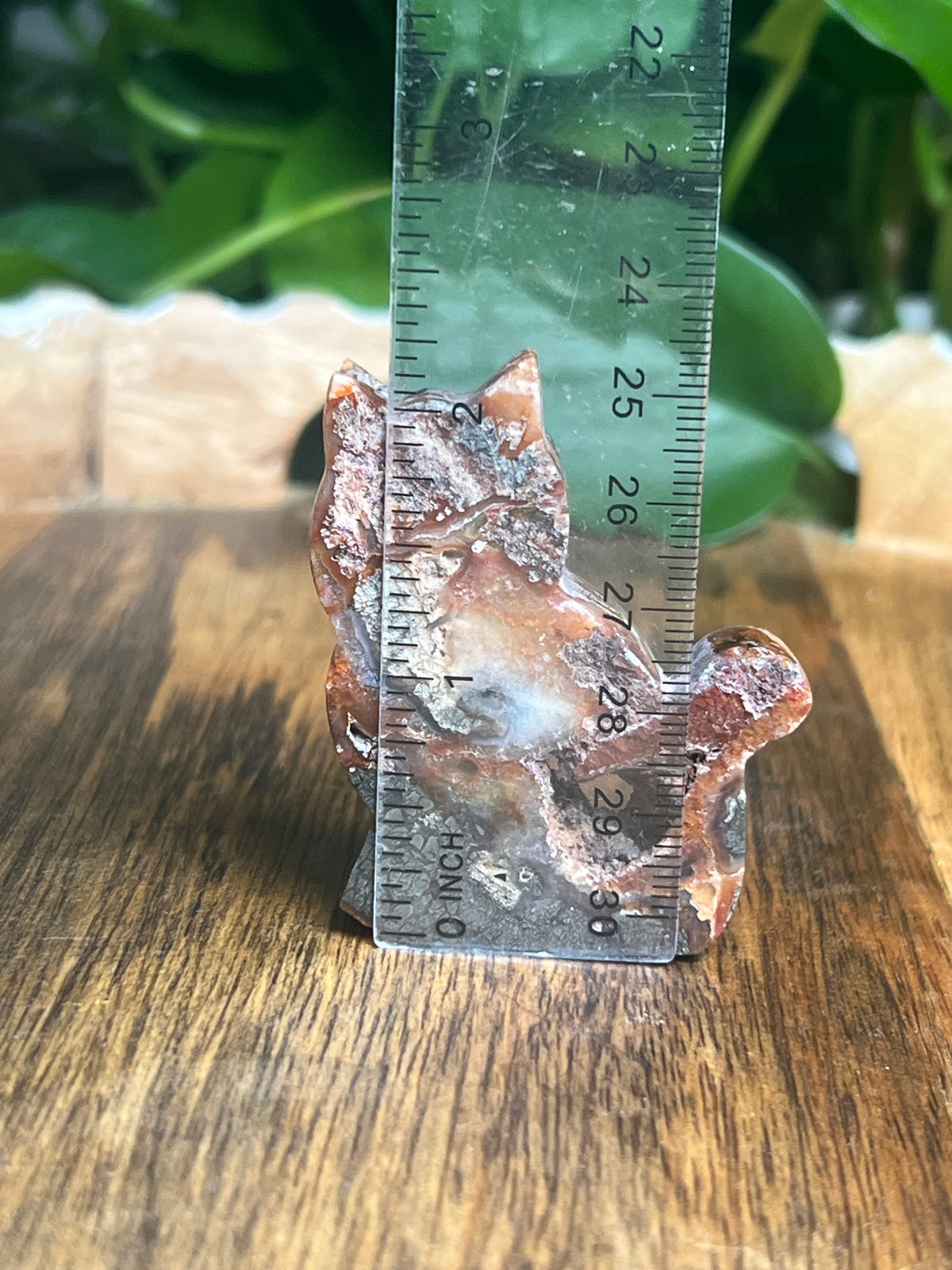 Marcasite Mini Cat: XM