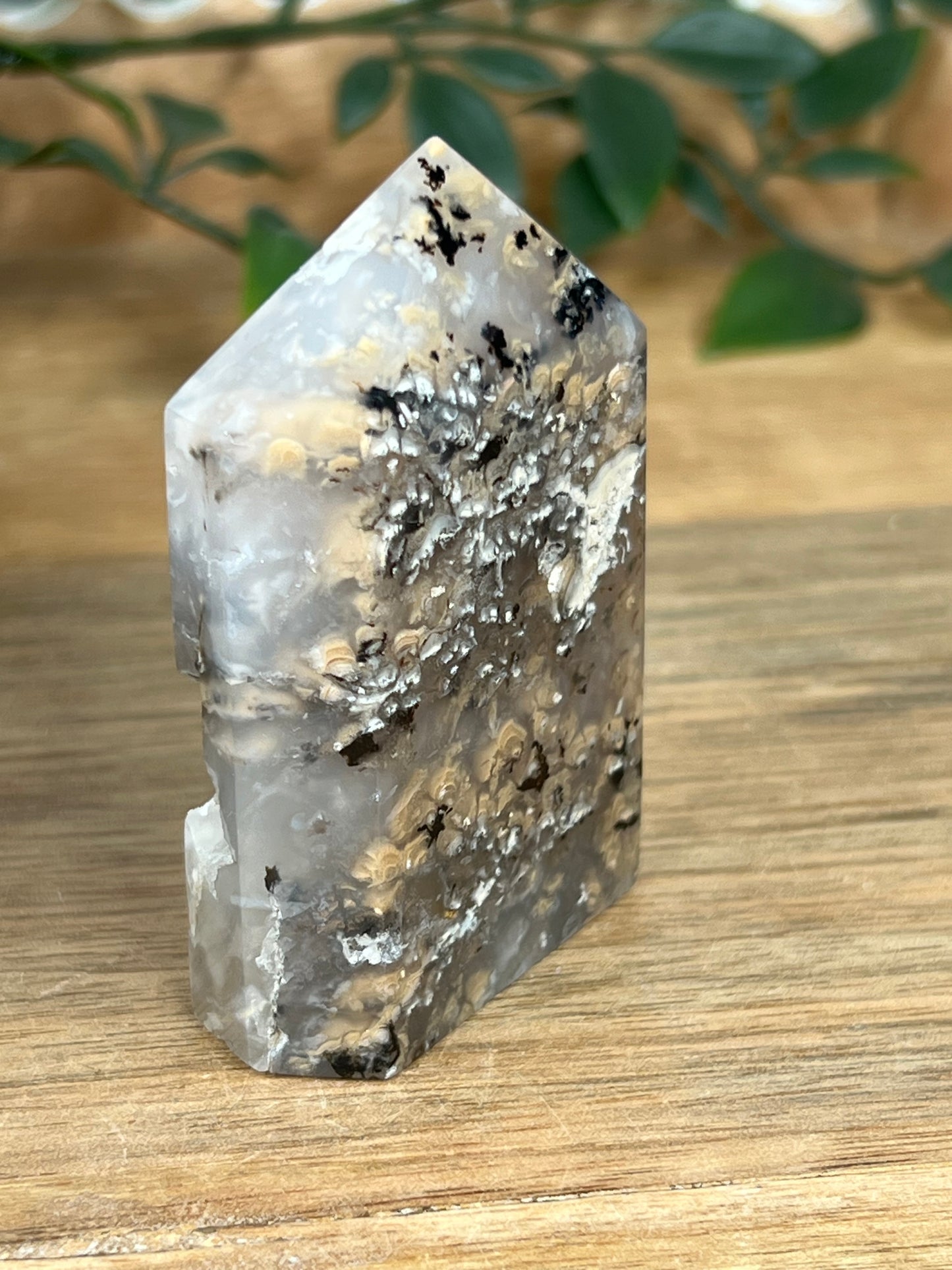 Dendritic Tiger Agate Tower