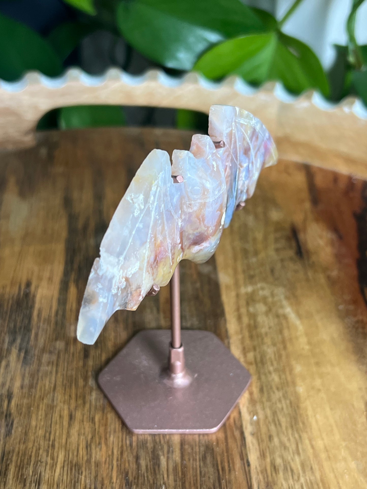 Rainbow Plume Agate Bat