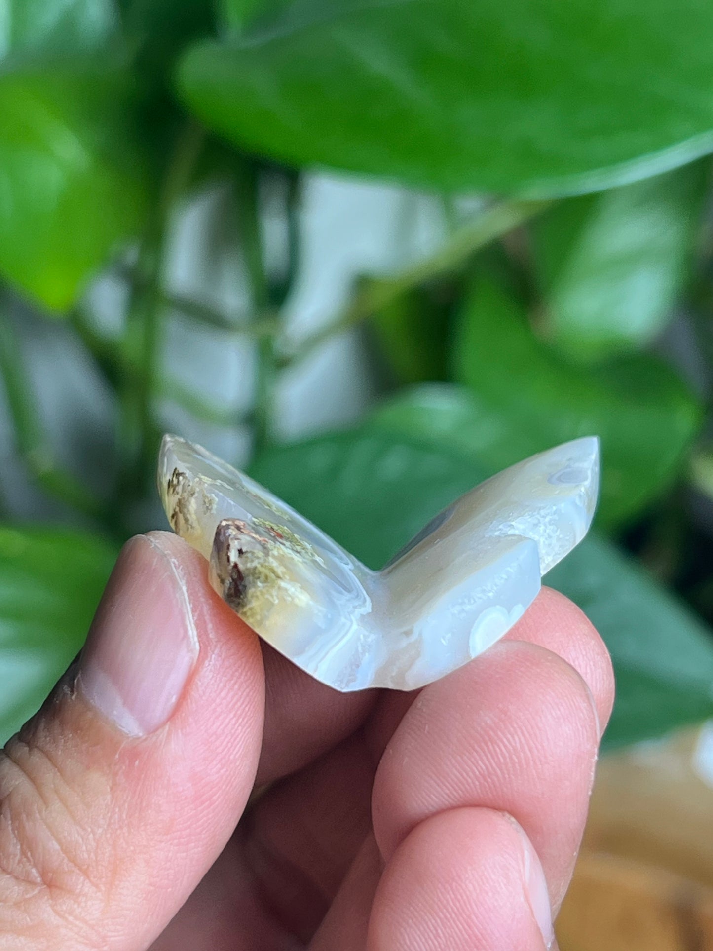 Scenic Moss Agate Mini Butterfly: E