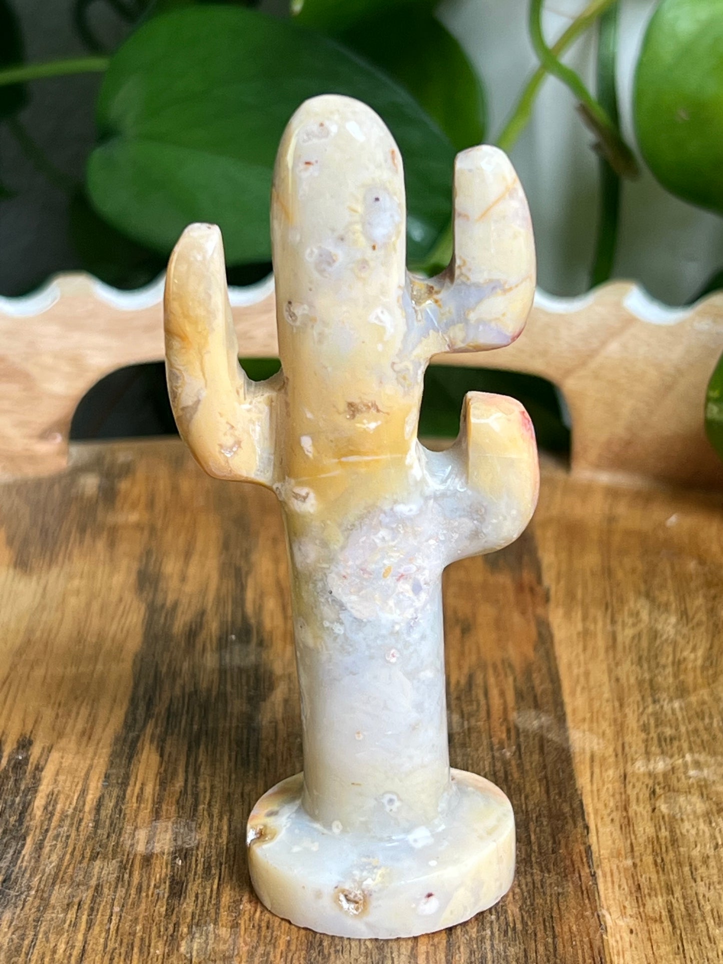 Crazy Lace Agate Cactus