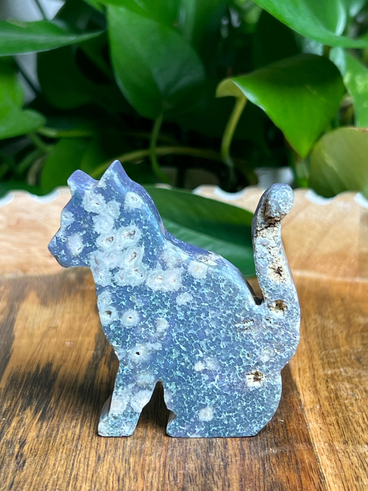 Grape Agate Cat: A