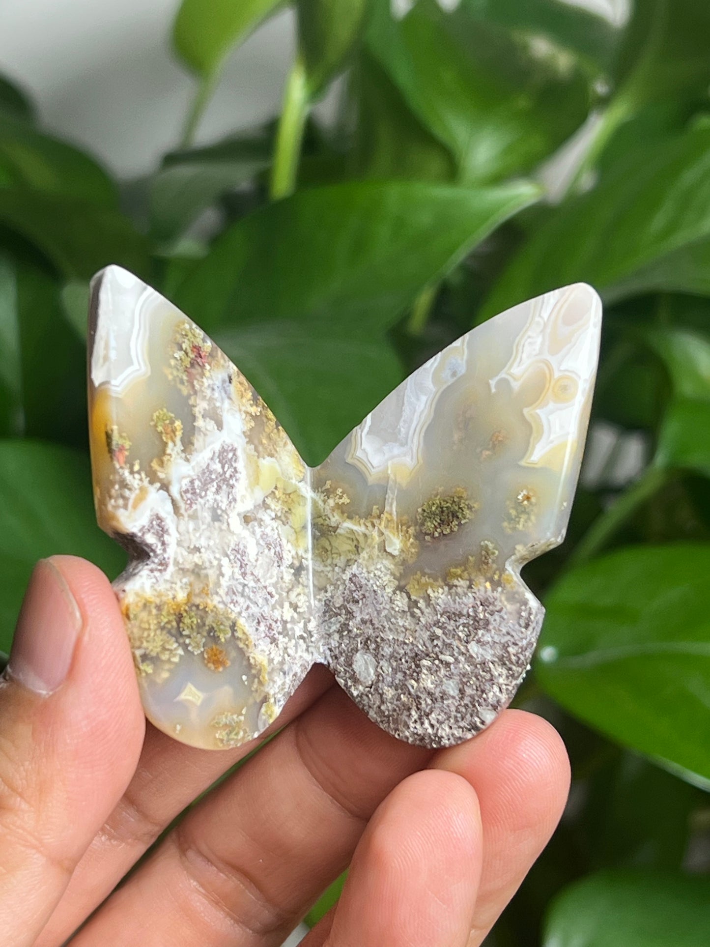 Scenic Moss Agate 3D Butterfly: N