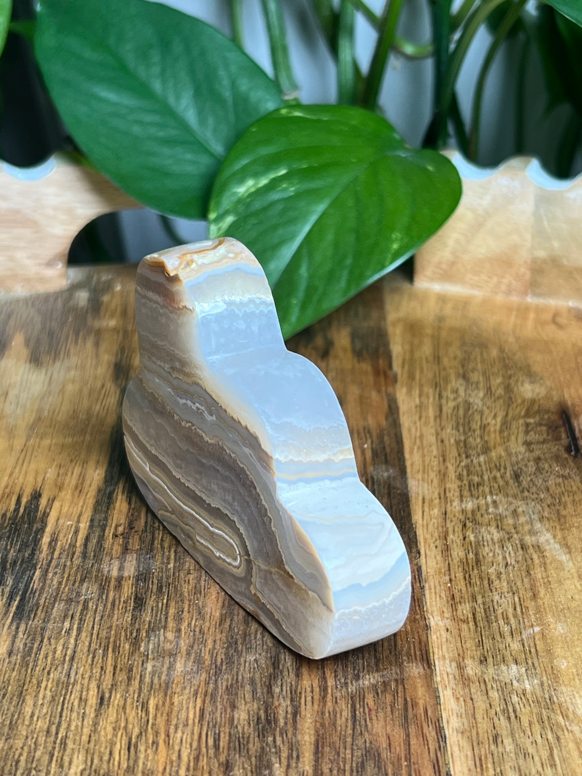 Crazy Lace Agate Cloud: EP