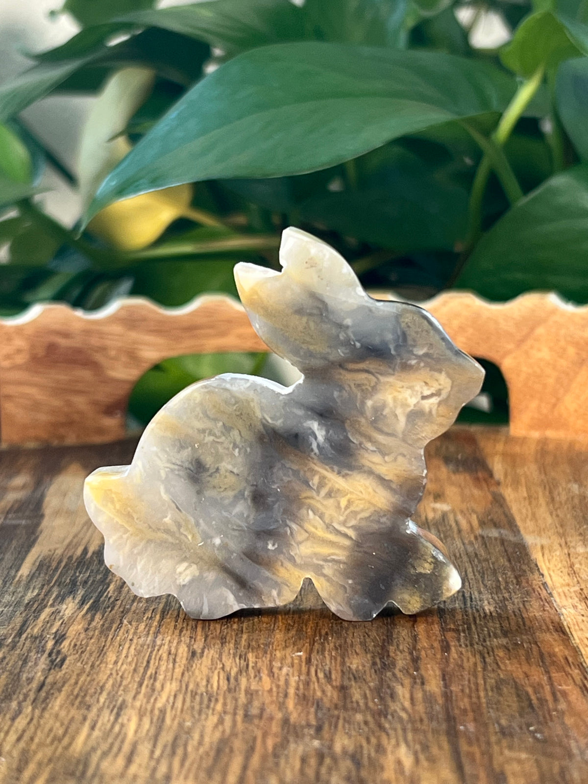 Dendritic Tiger Agate Bunnies