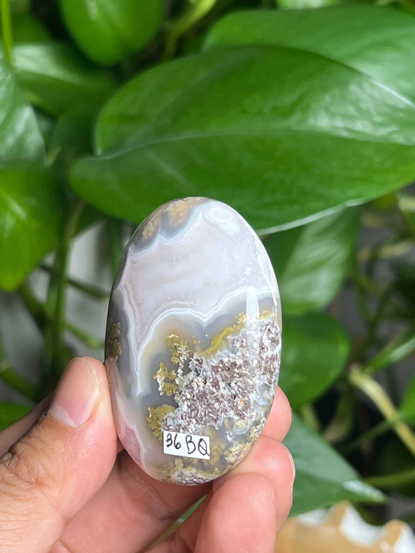 Scenic Moss Agate Palmstone: BQ