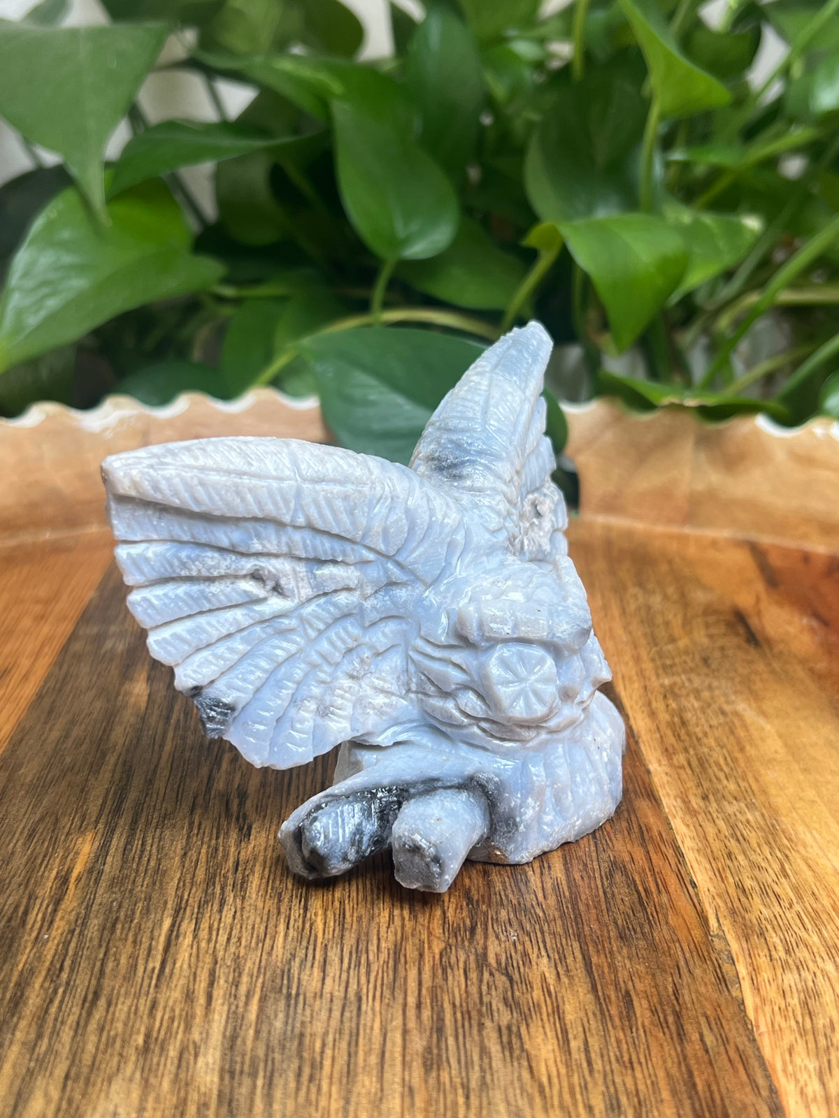 Blue Plume Agate Owl: XX