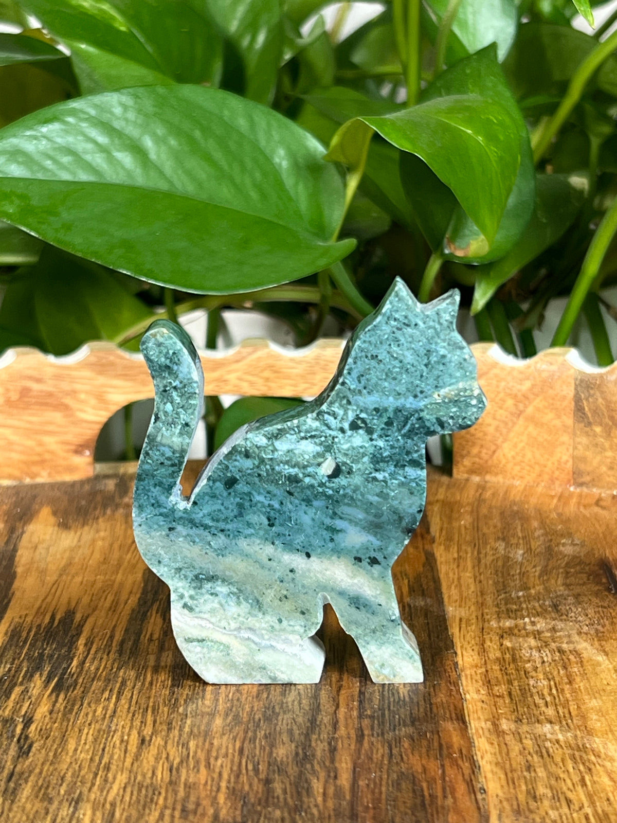 Blue Green Jasper Cats