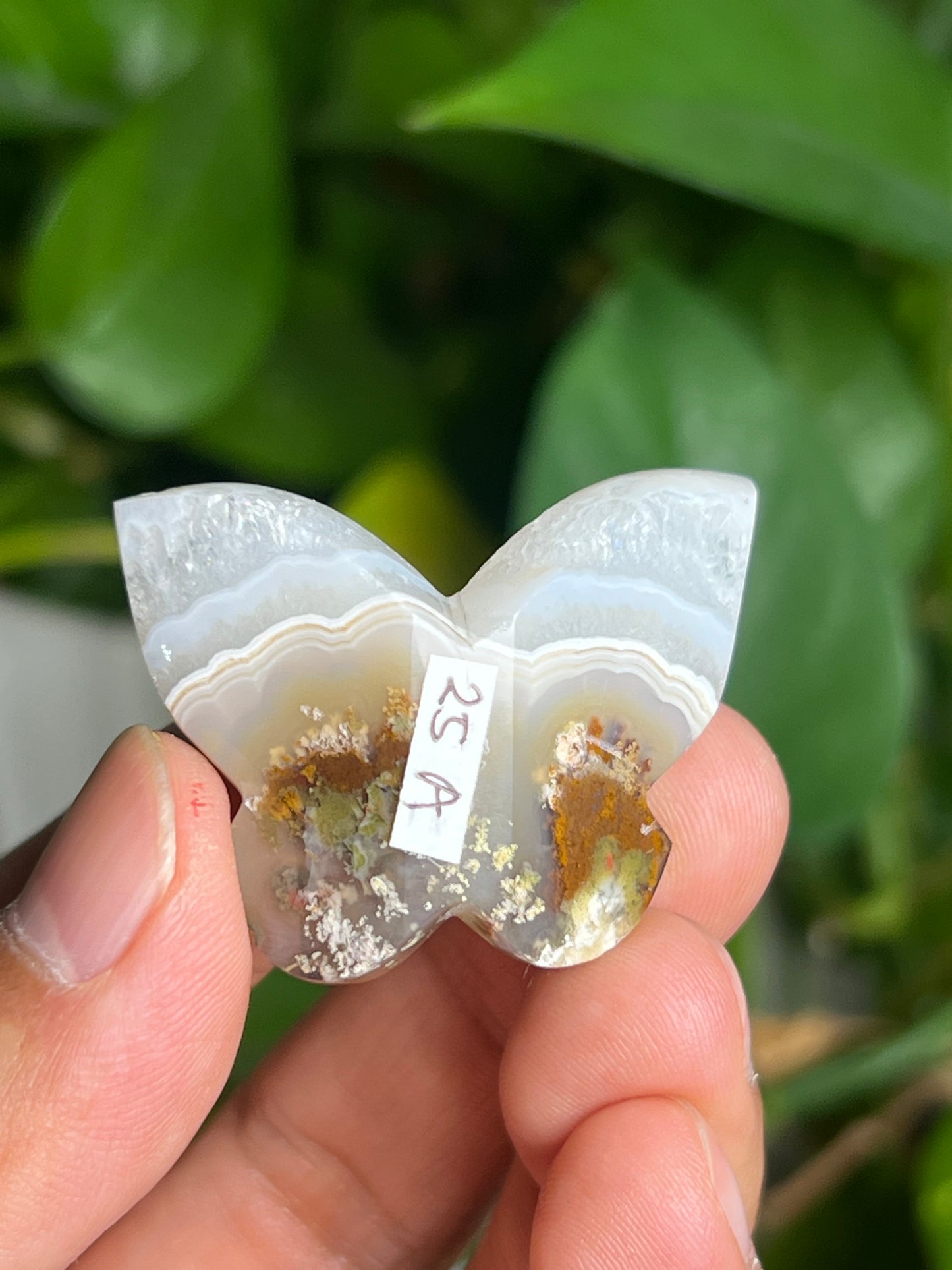 Scenic Moss Agate 3D Butterfly A