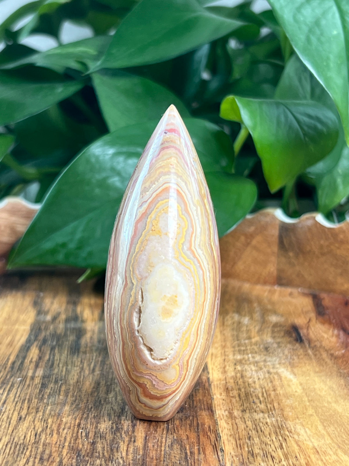 Crazy Lace Agate Flame: BB