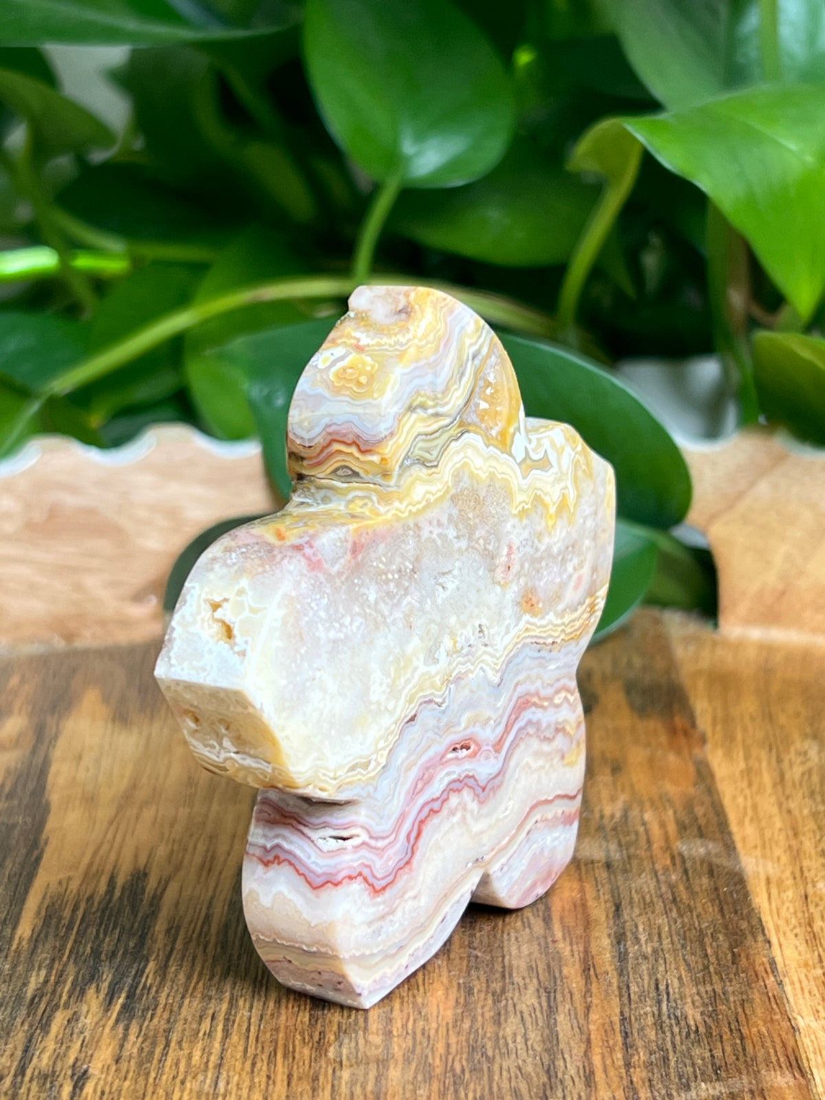 Crazy Lace Agate Flower: CA