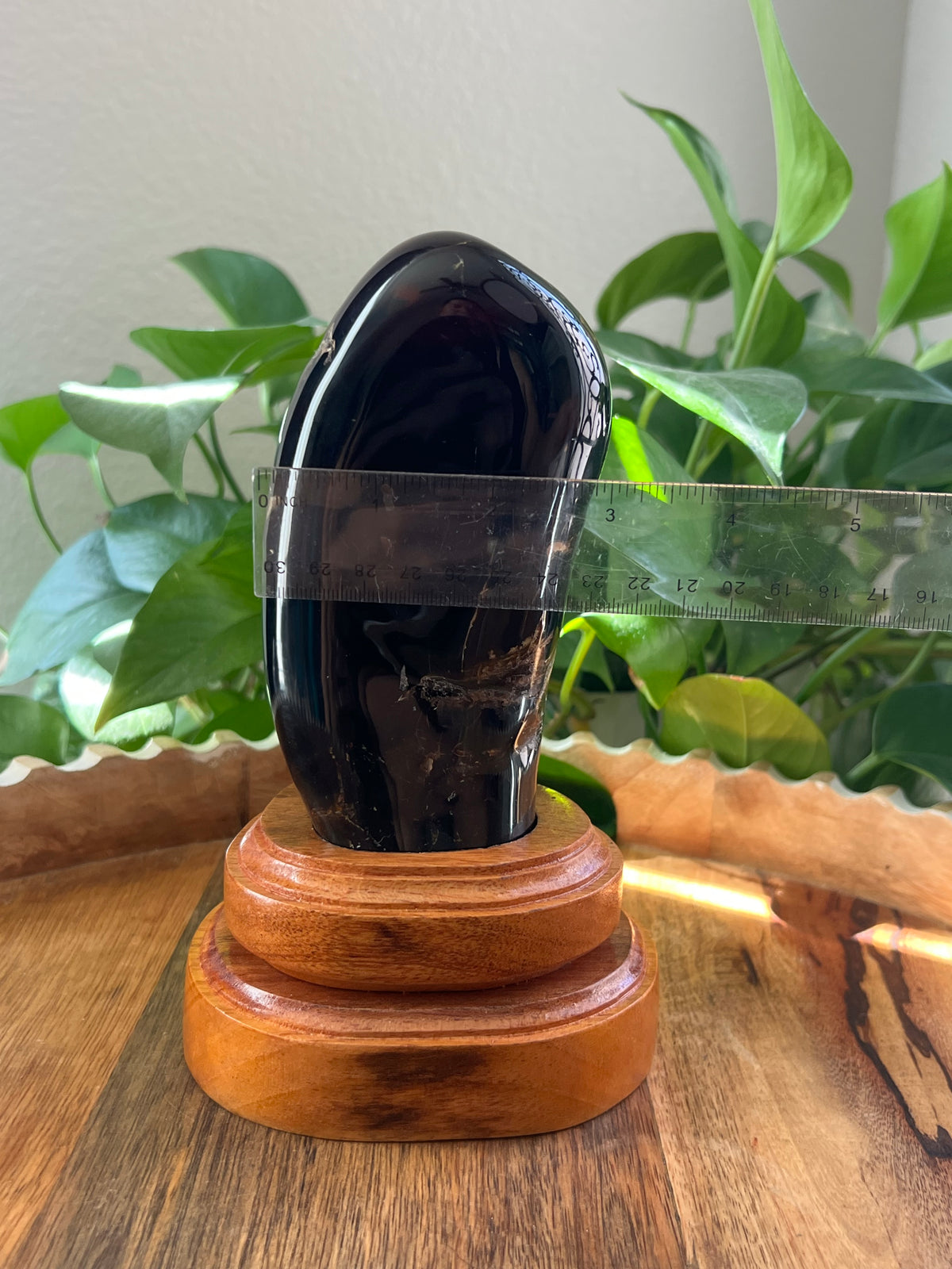 Blue Amber Freeform: T