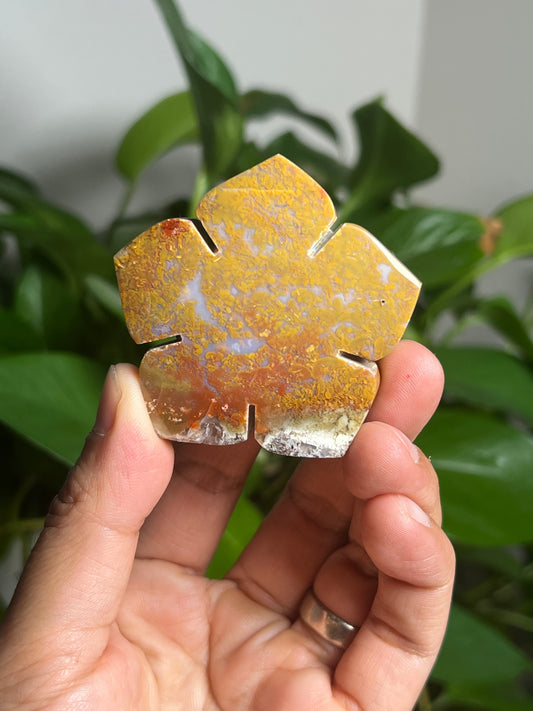 Scenic Moss Agate Flower: N