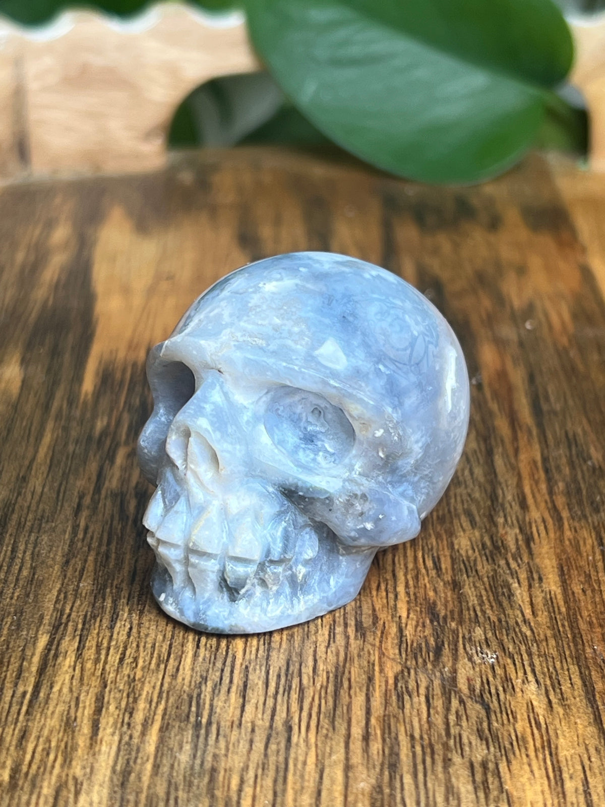 Blue Plume Agate Skull: E