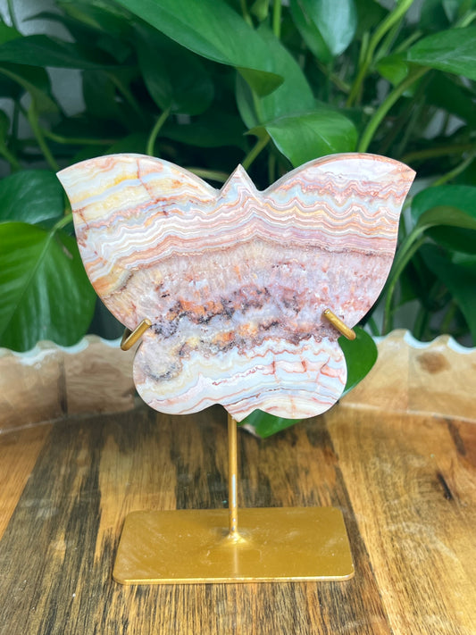 Crazy Lace Agate Butterfly: QX