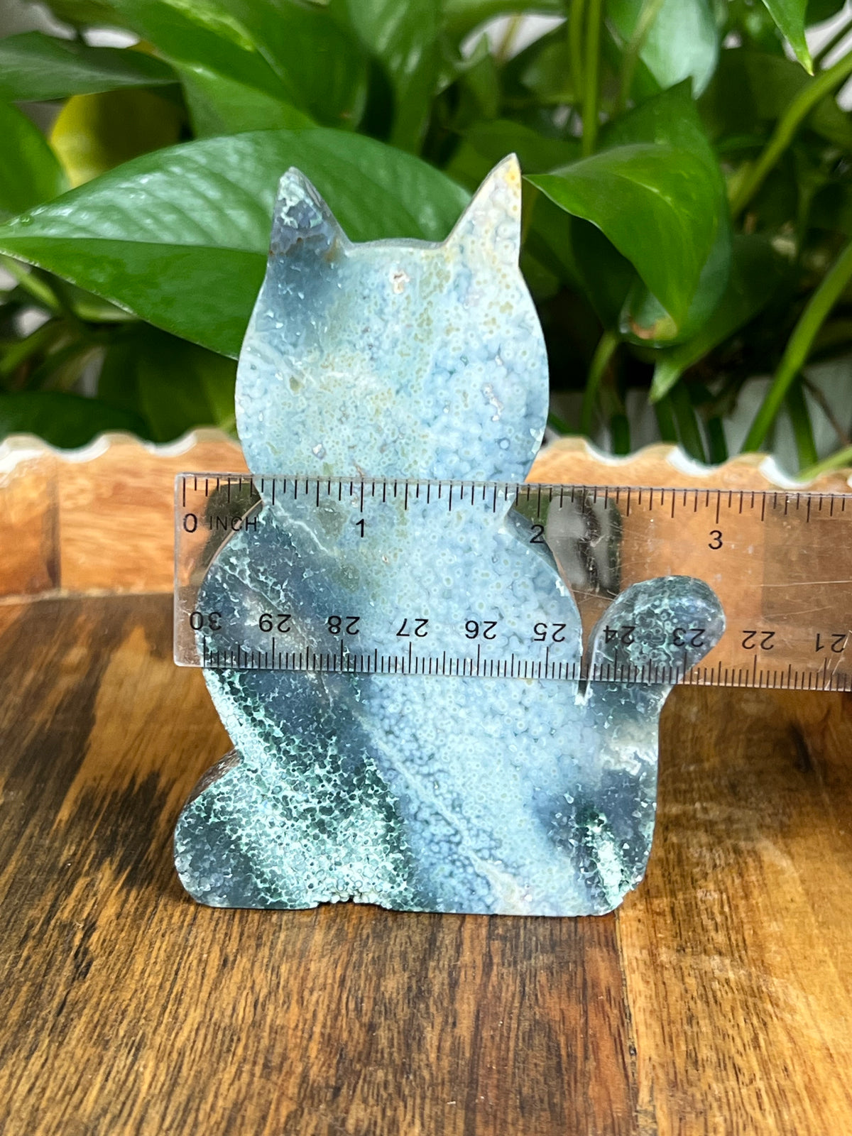 Grape Agate Cat: AE