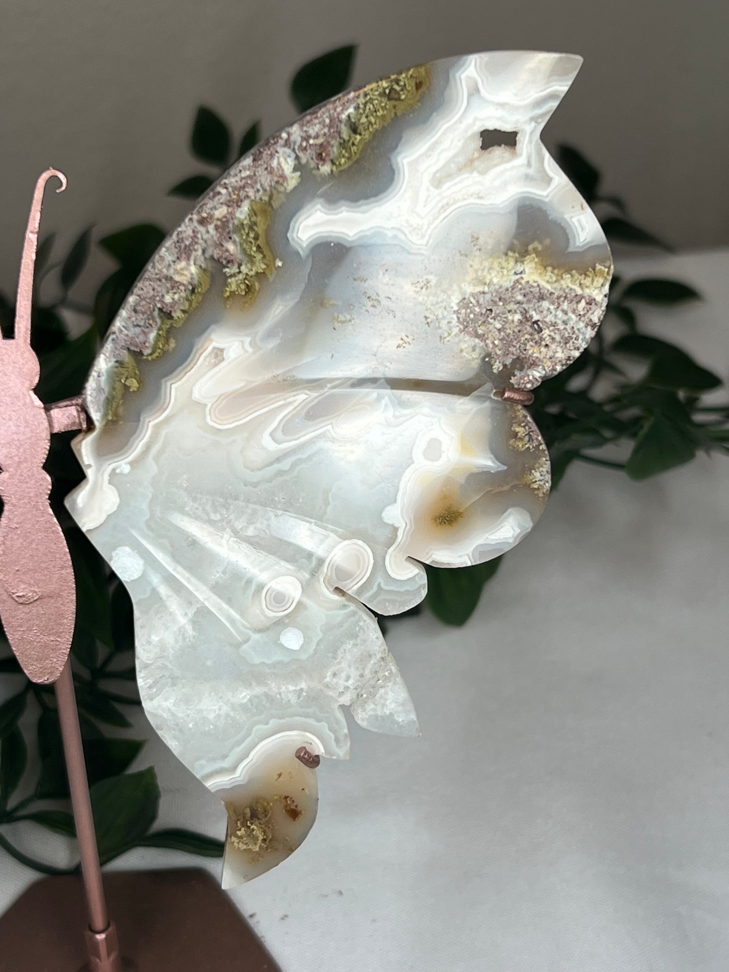 Scenic Moss Agate Wings