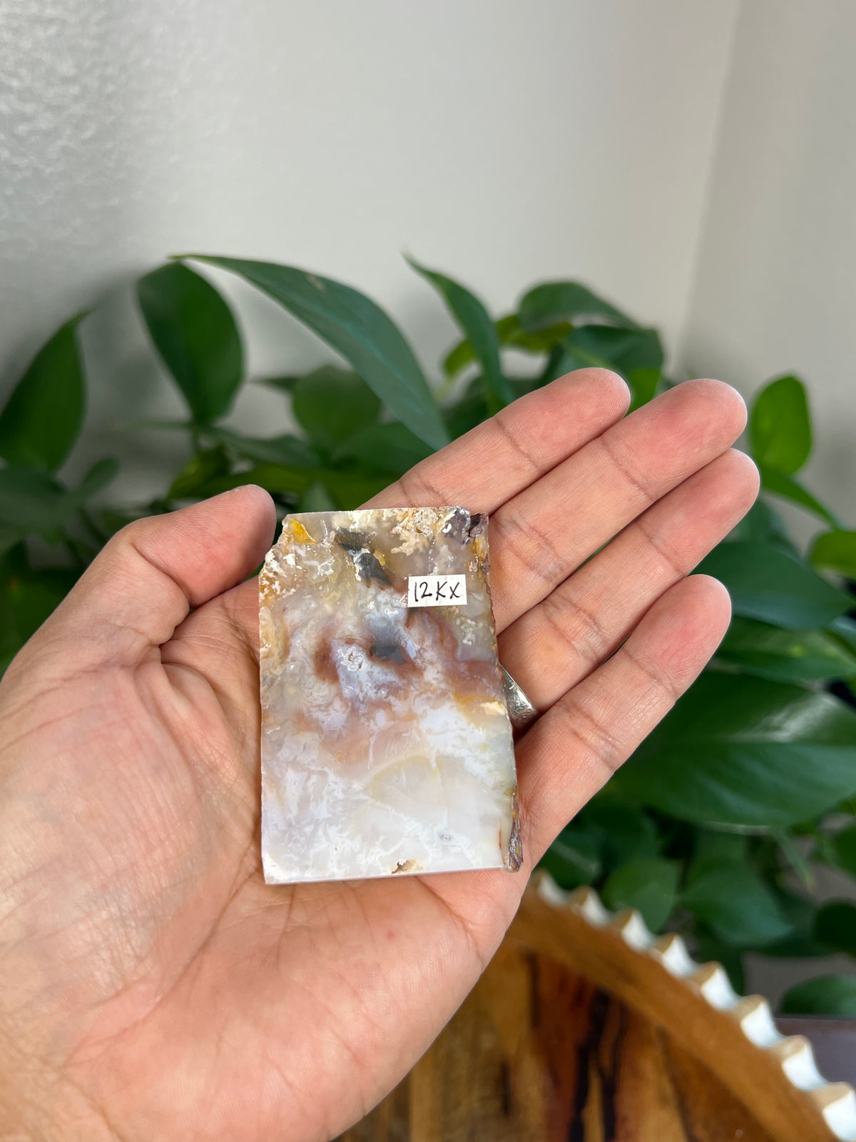 Rainbow Plume Agate Slabs