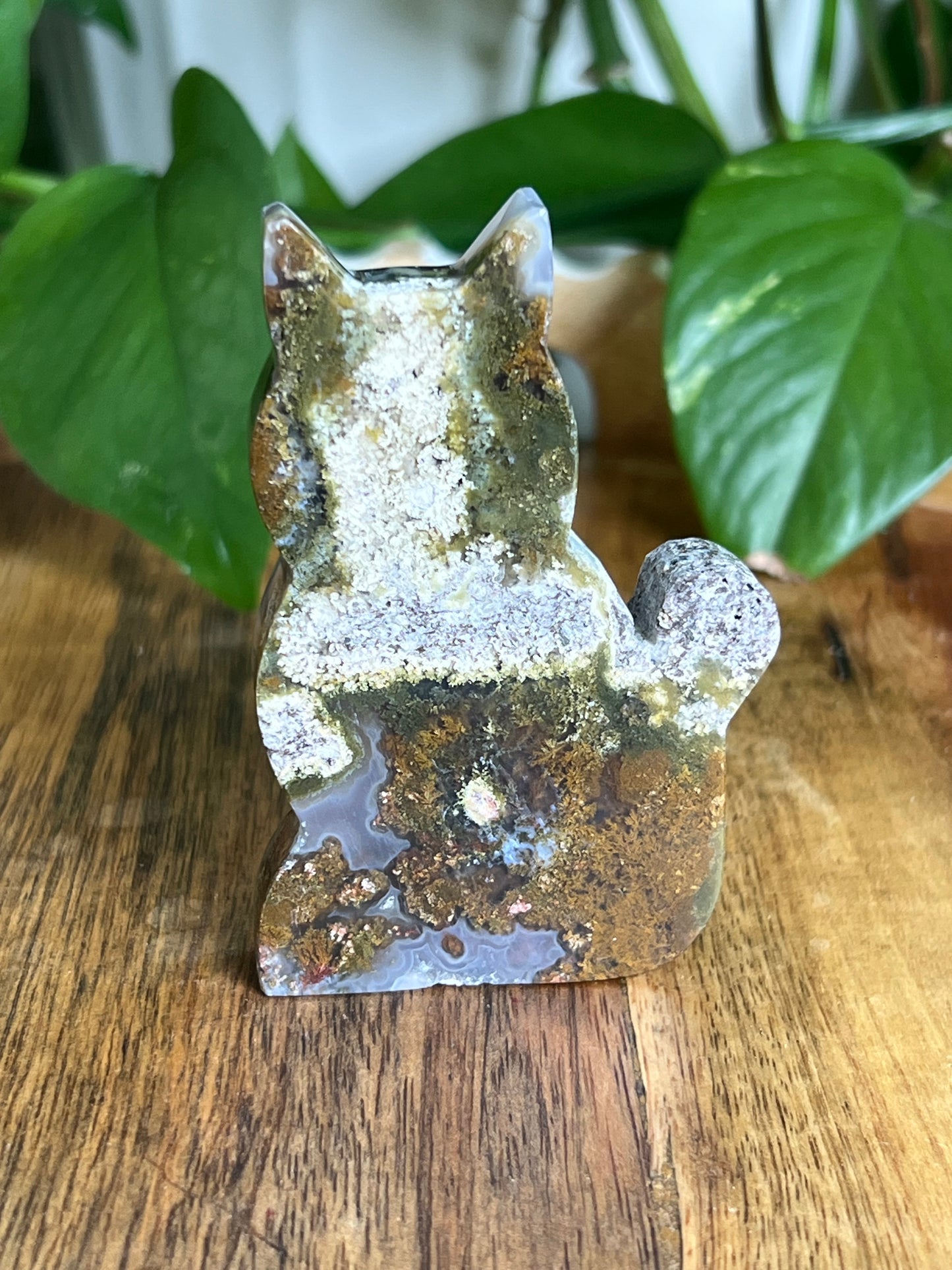 Scenic Moss Agate Cat HD