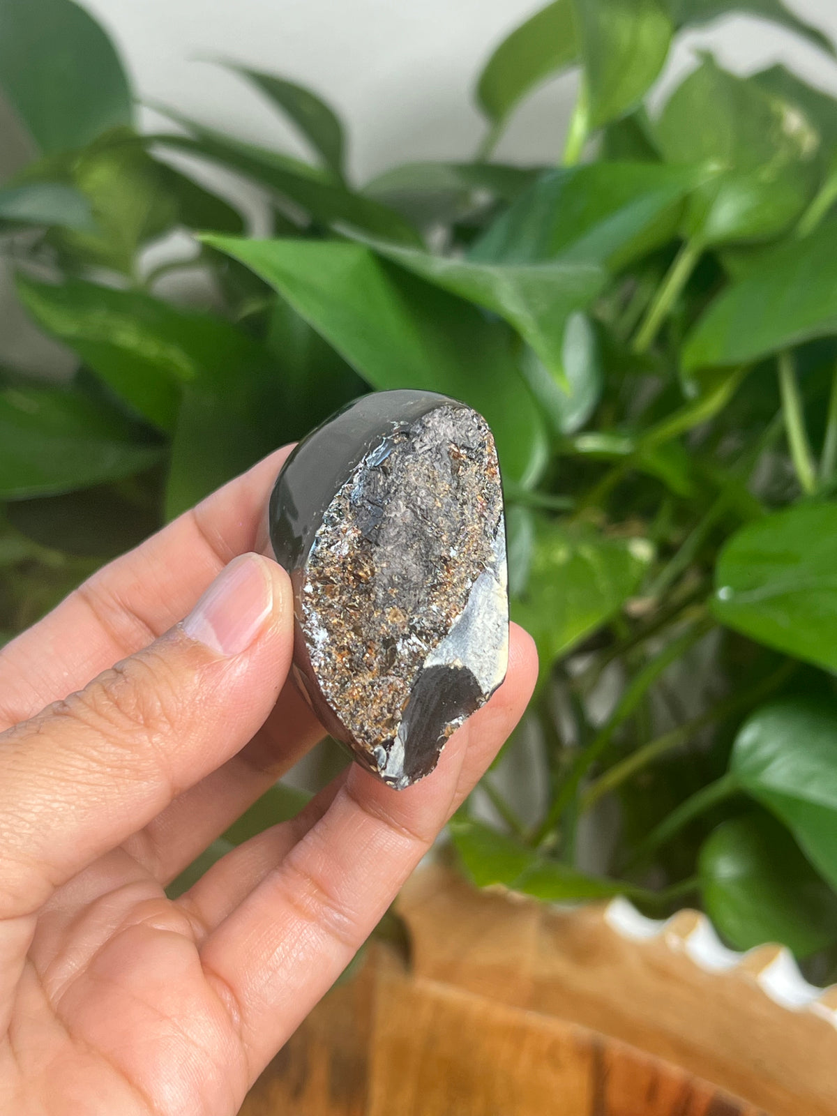 Blue Amber Freeform: SK