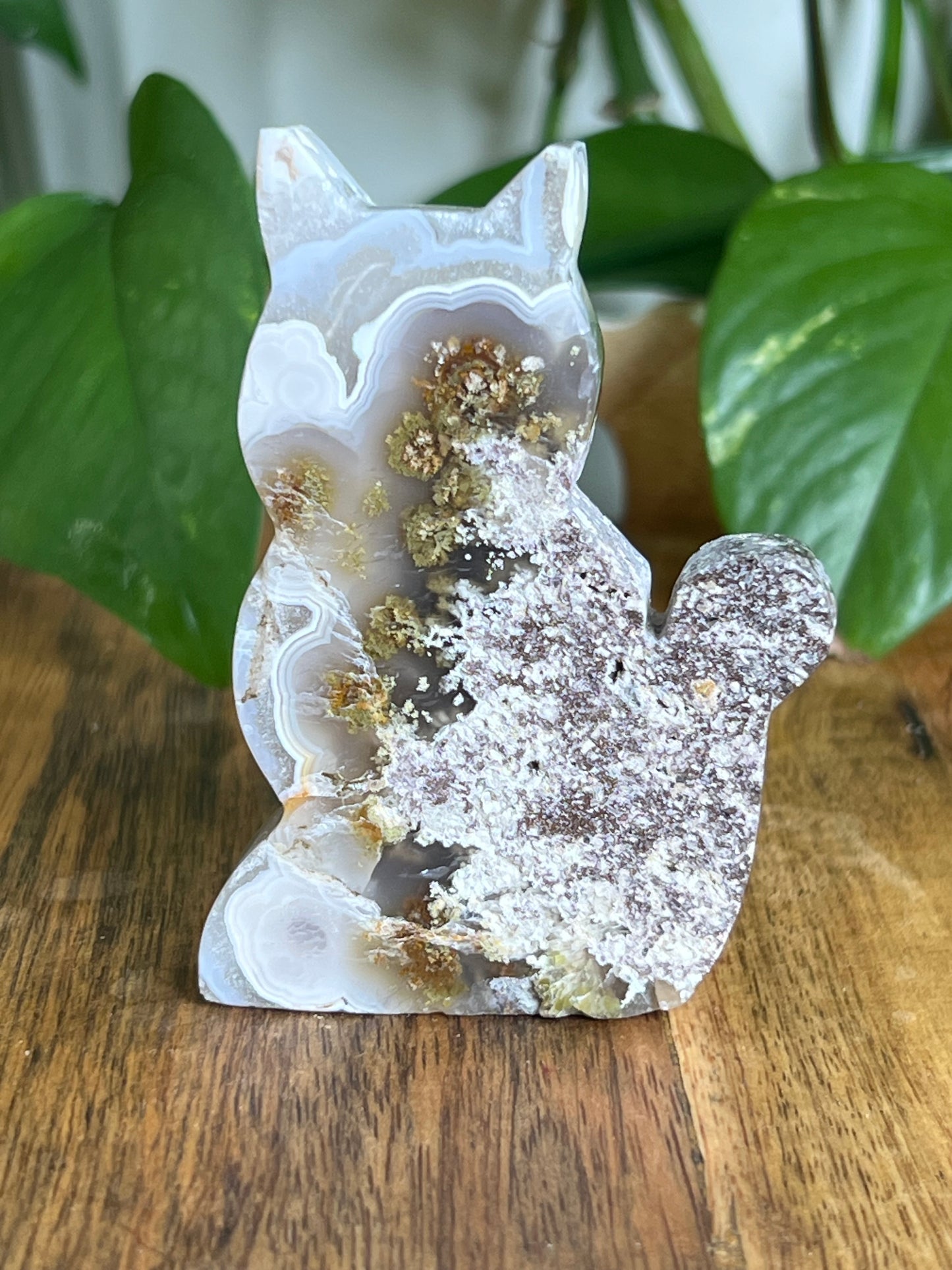 Scenic Moss Agate Cat HN