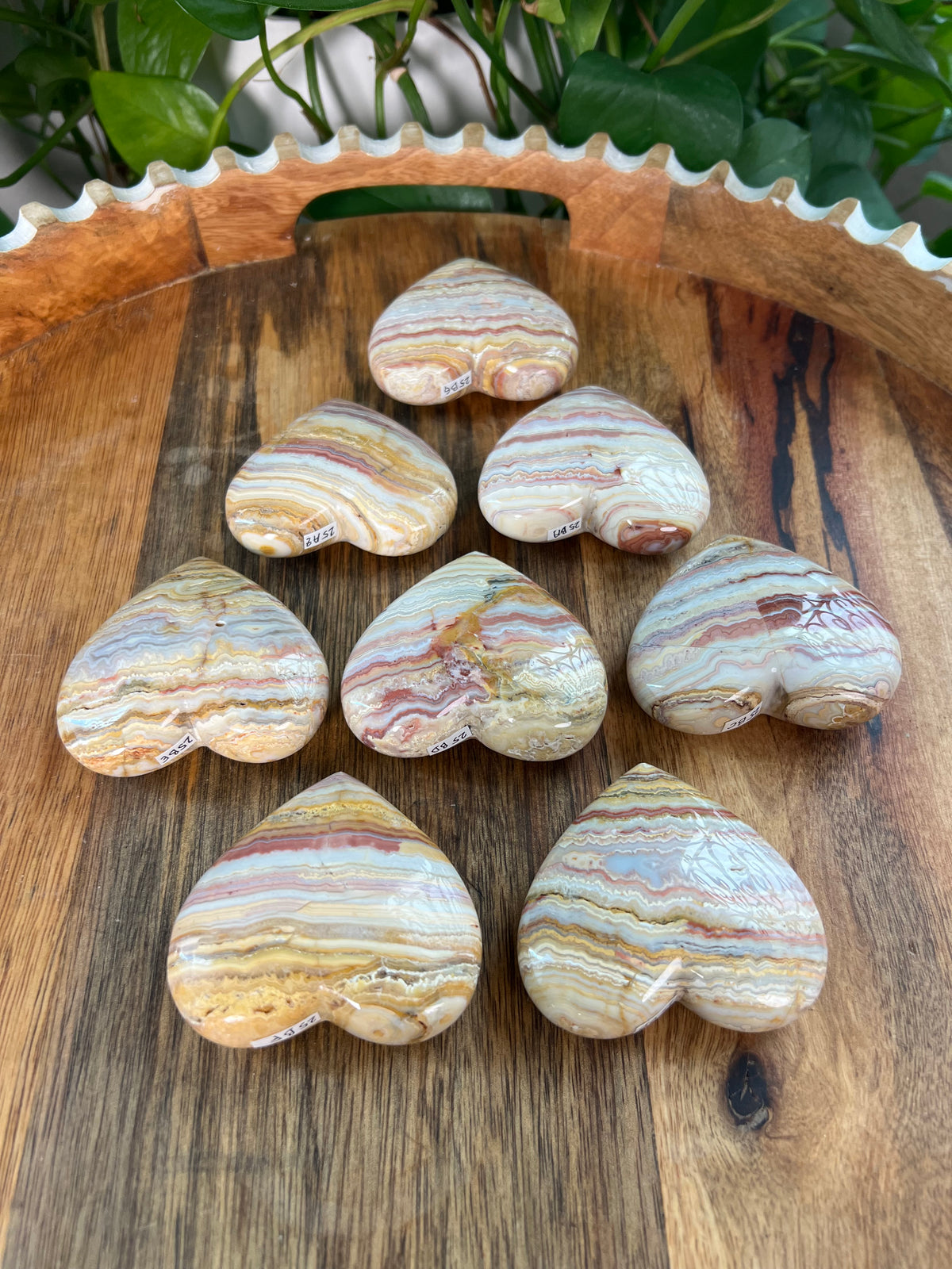 Crazy Lace Agate Small Puffy Moons