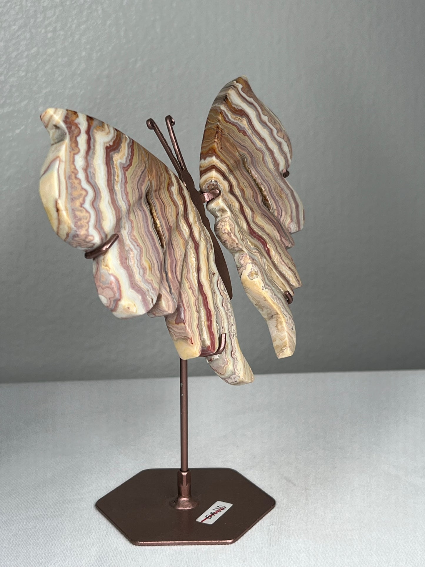 Crazy Lace Agate Wings