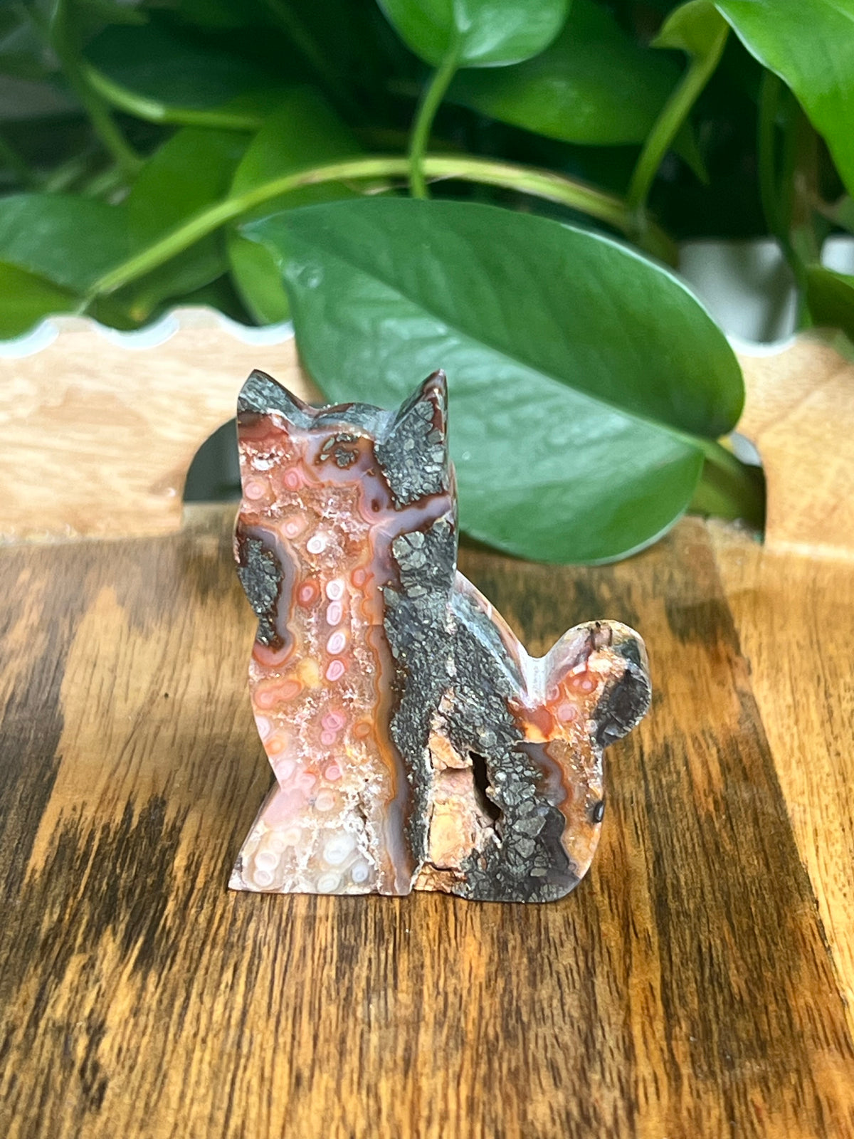 Marcasite Cat: XQ