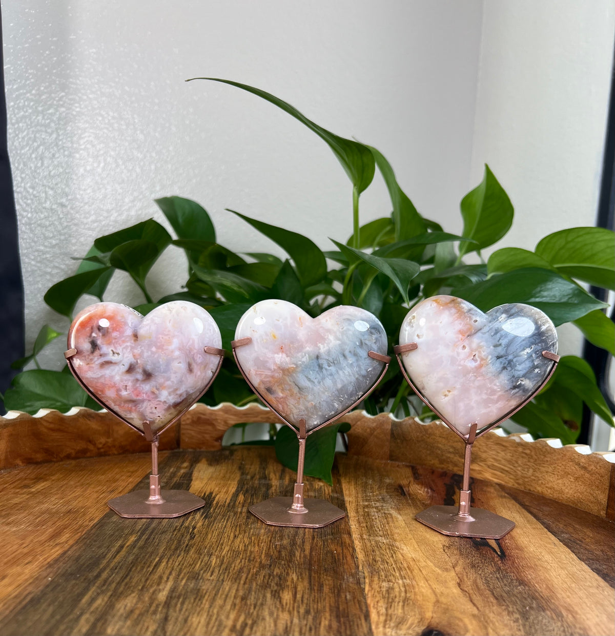 Rainbow Plume Agate Hearts