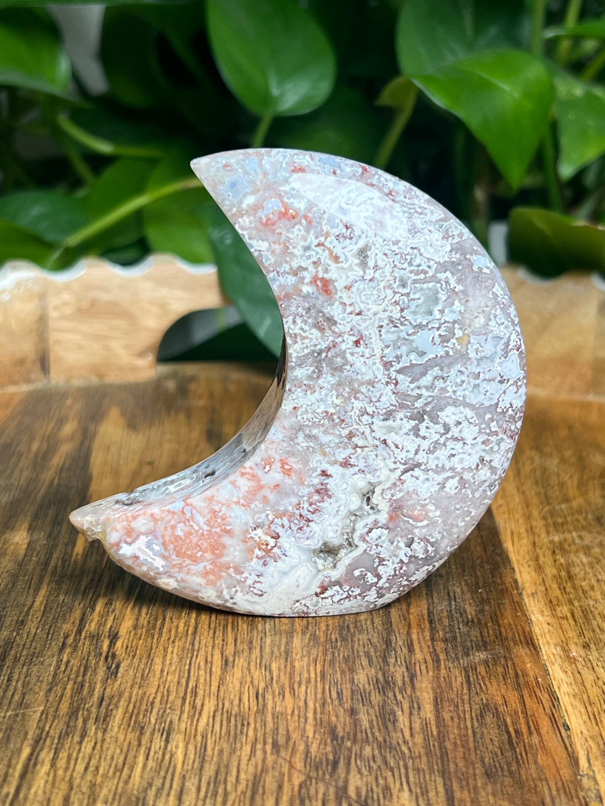 Sumatra Plume Agate Self-Standing Moon: SE