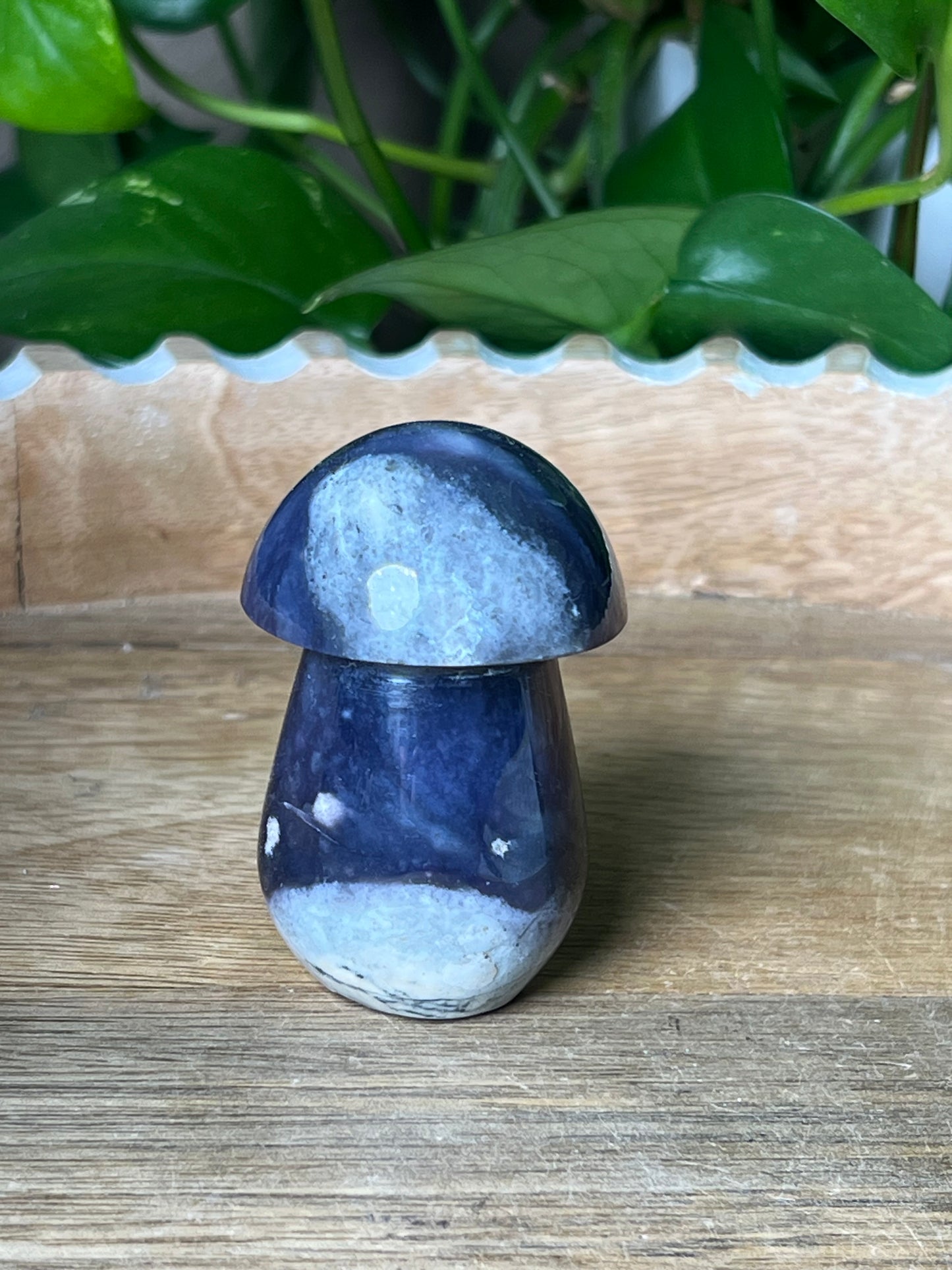 Purple Chalcedony Mushroom