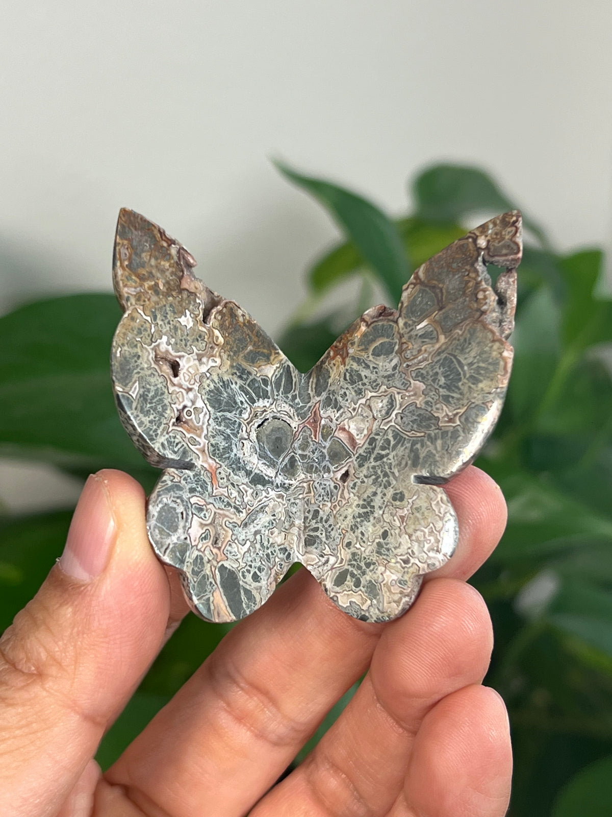Marcasite 3D Butterflies