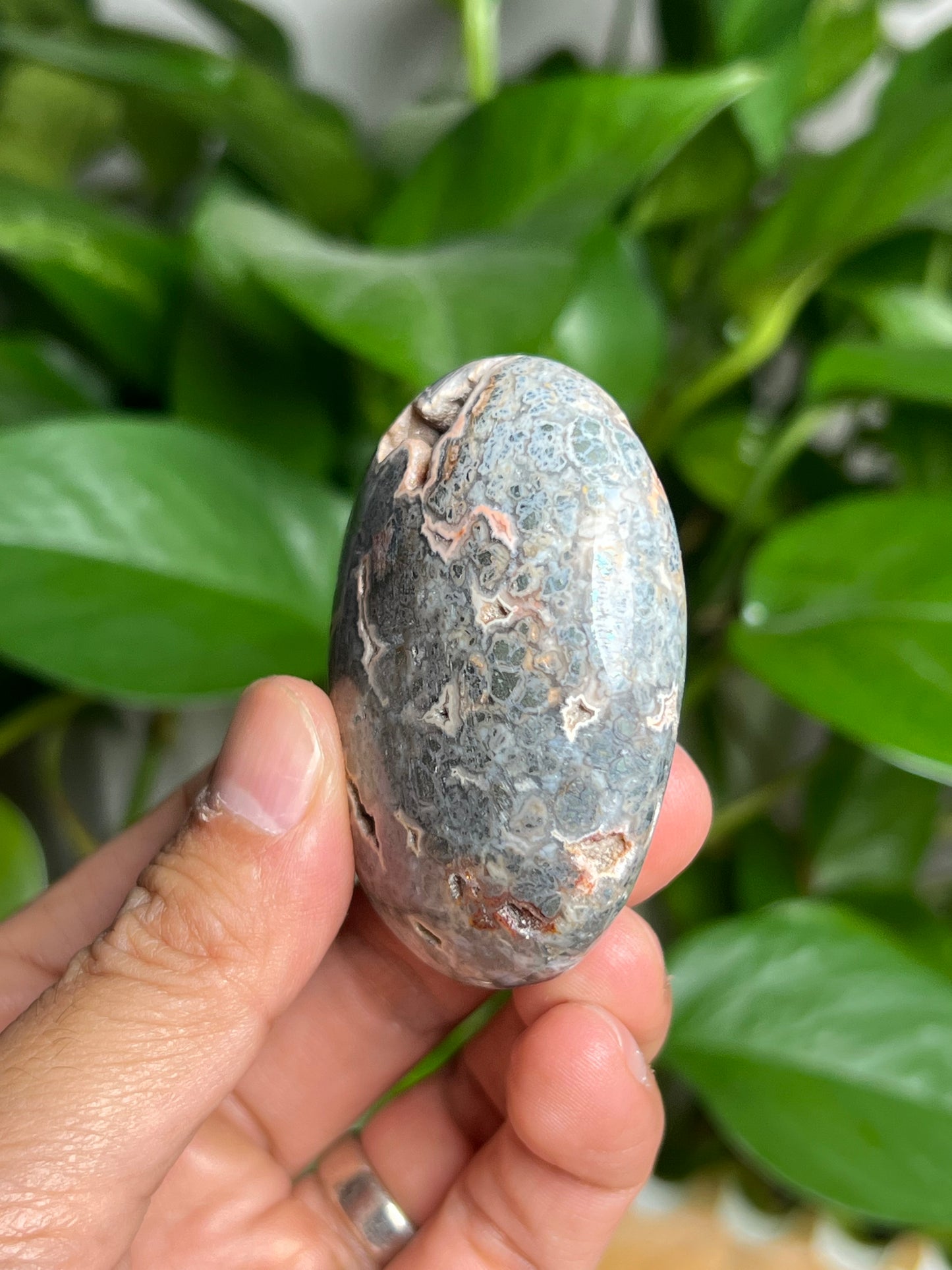 Marcasite Palmstone: LE