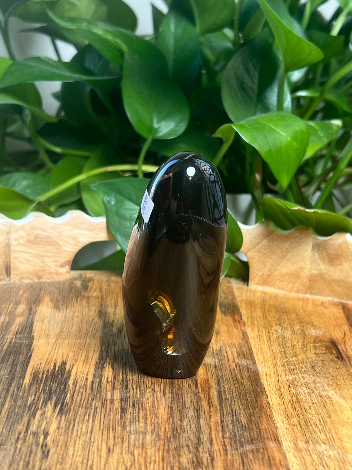 Blue Amber Freeform: M