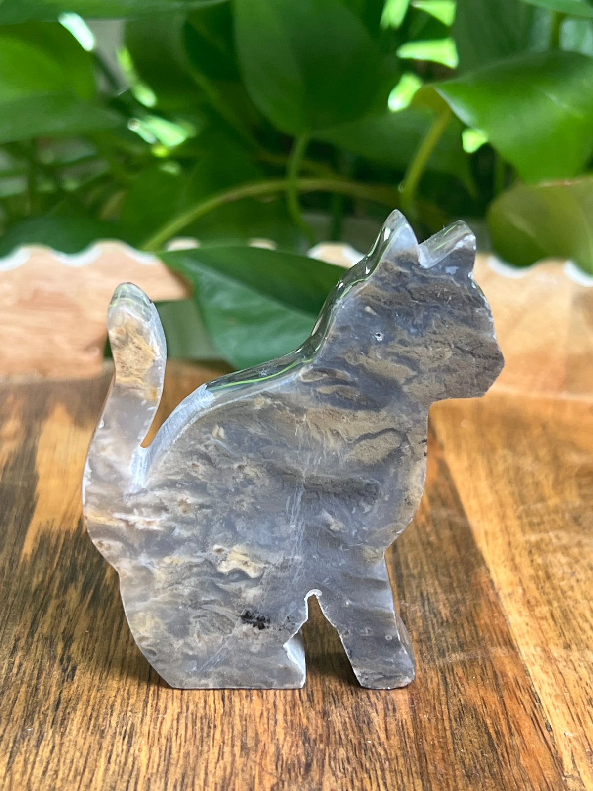 Dendritic Tiger Agate Cat: BB