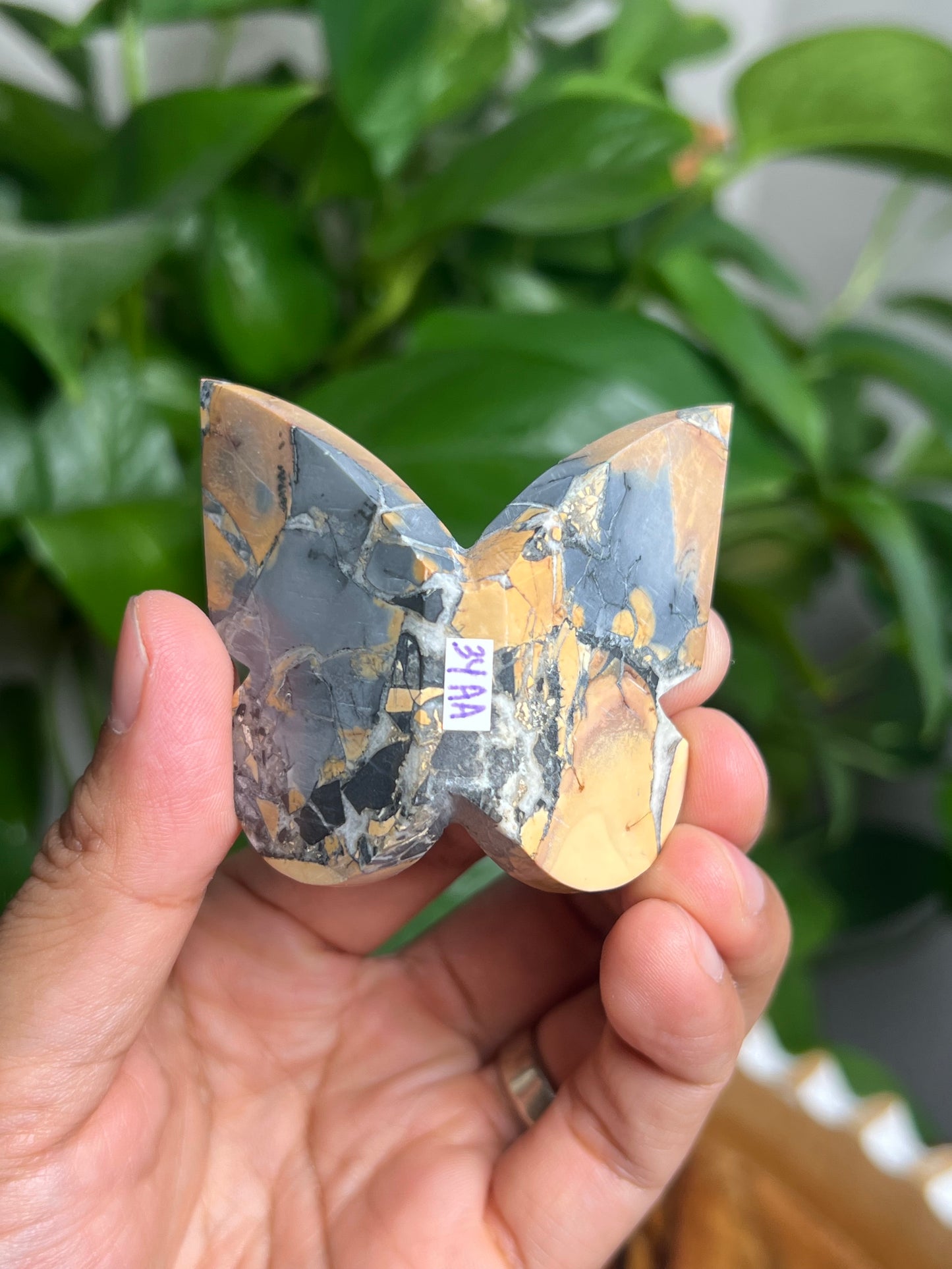 Maligano 3D Butterfly: AA