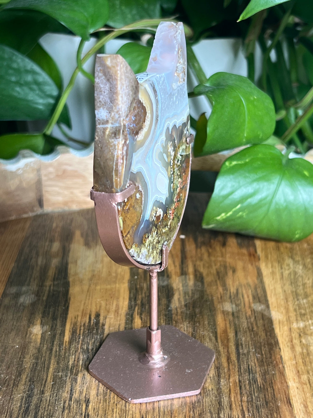 Scenic Moss Agate Cat Head