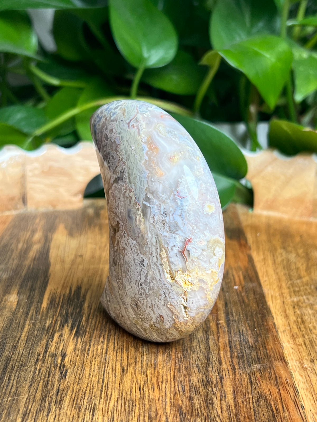 Sumatra Plume Agate Self-Standing Moon: SC