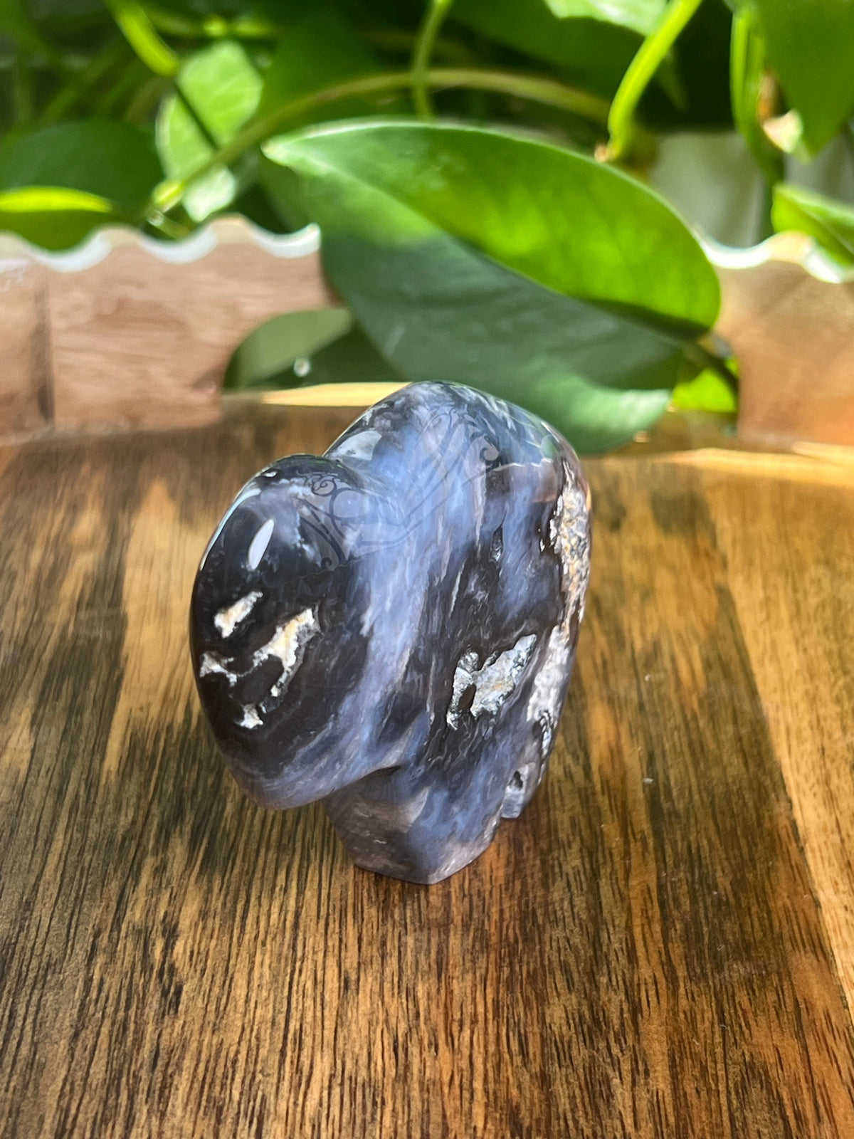 Blue Plume Agate Buffalo: BF
