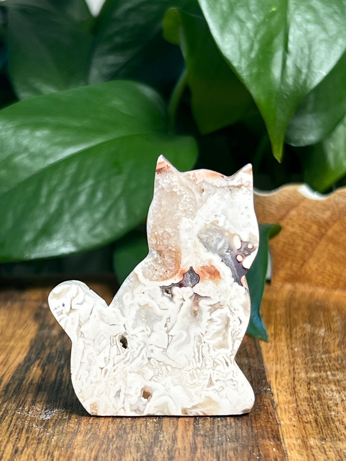 Tube Agate Mini Cats