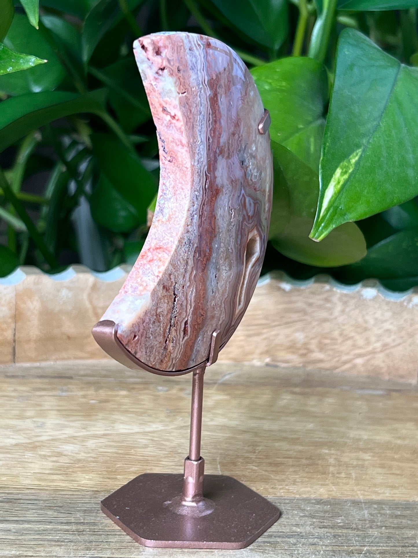 Crazy Lace Agate Moon