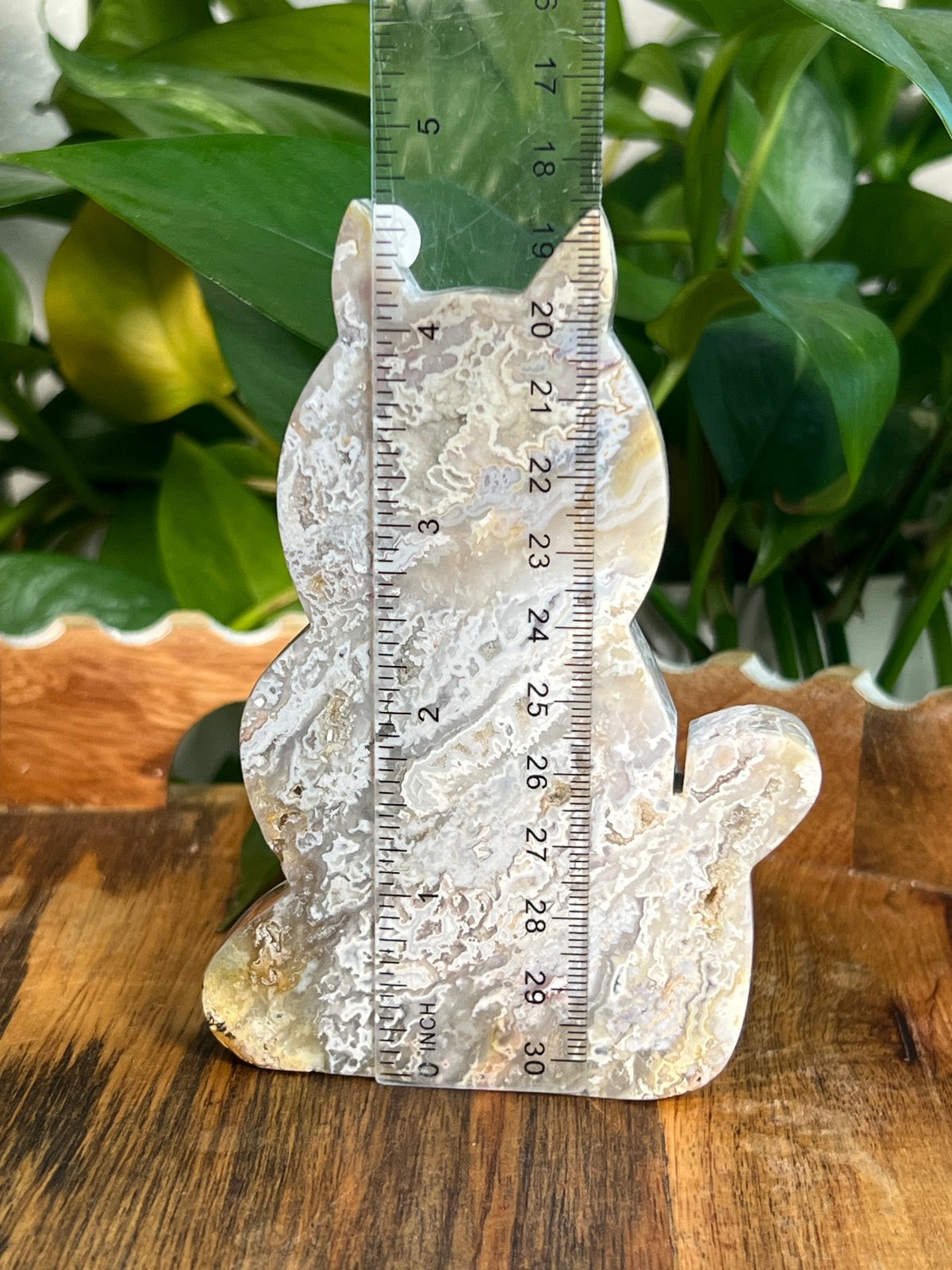 Sumatra Plume Agate Cats